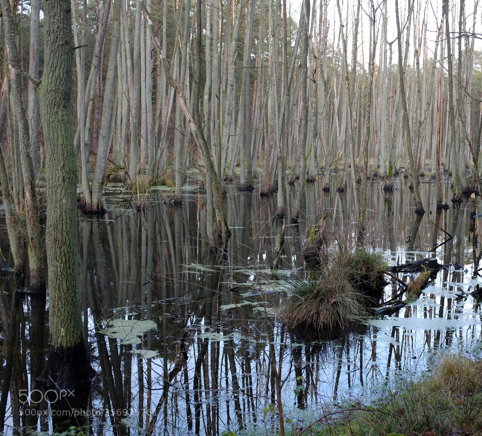 Fujifilm FinePix X100 sample photo. Reflections photography