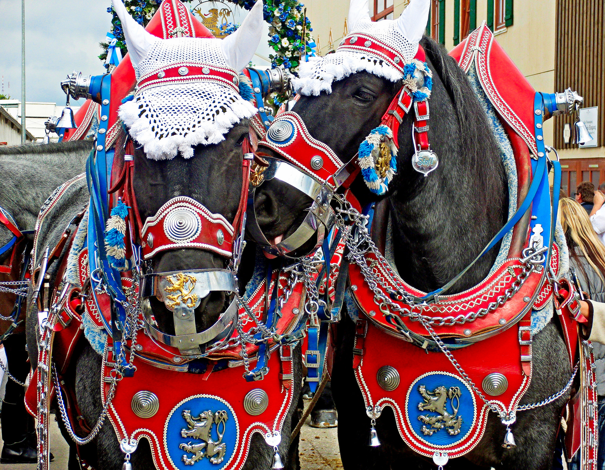 CASIO EX-FC150 sample photo. Horse play at oktoberfest photography