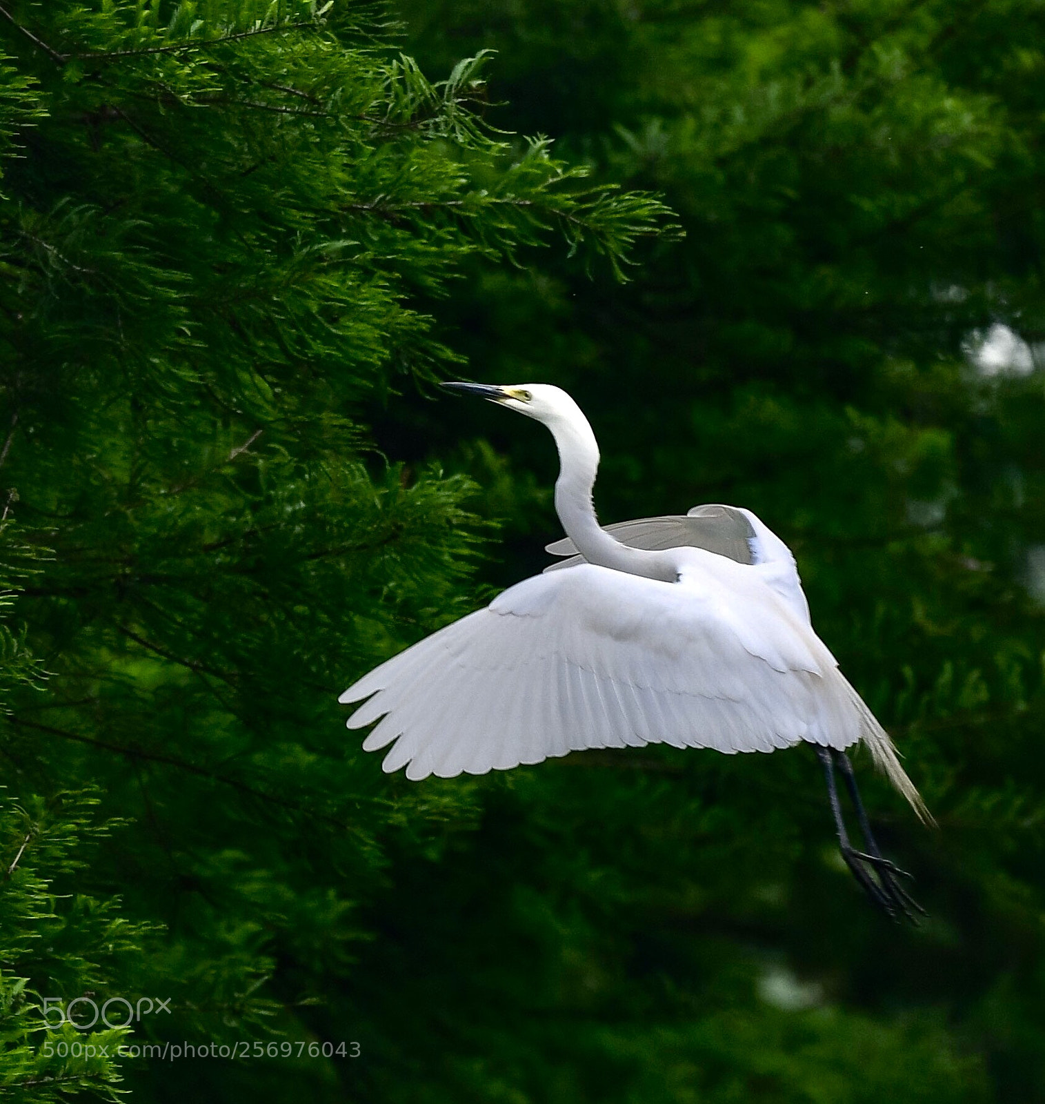 Nikon D500 sample photo. Untitled photography