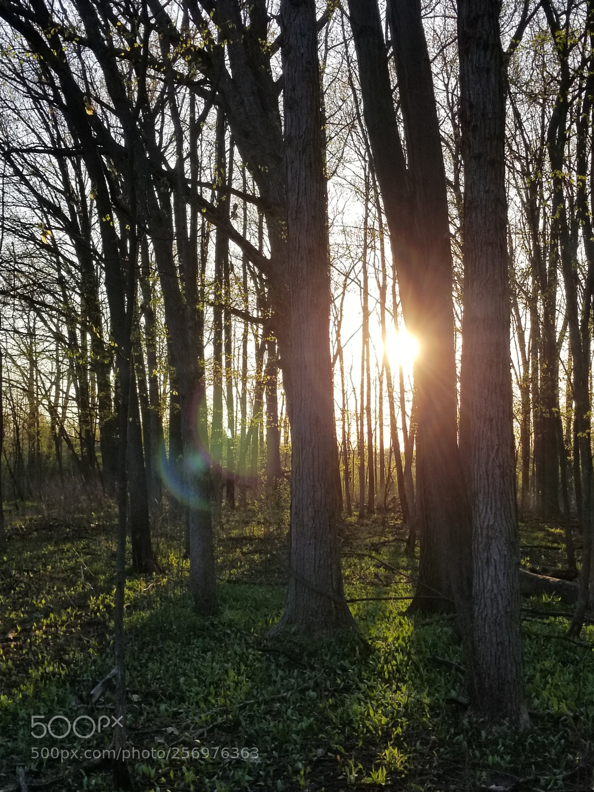 Samsung Galaxy S8 sample photo. Untitled photography