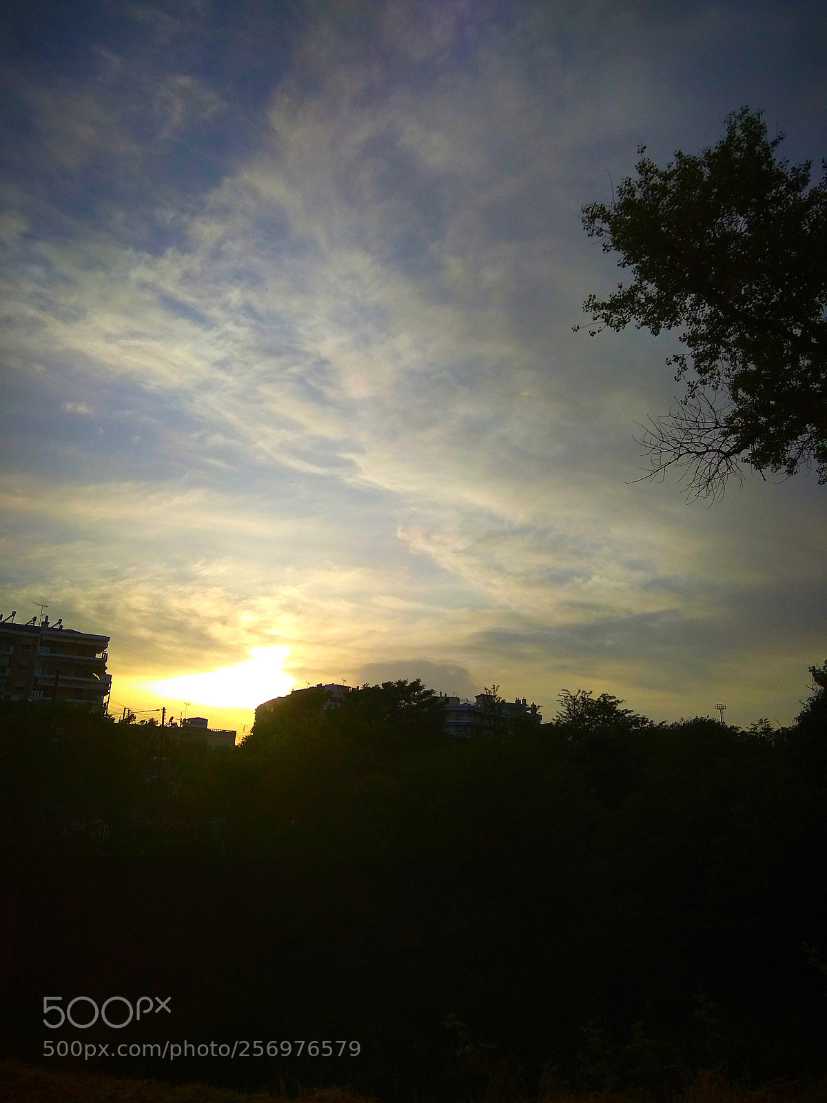 Xiaomi Redmi Note 4 sample photo. May sun photography