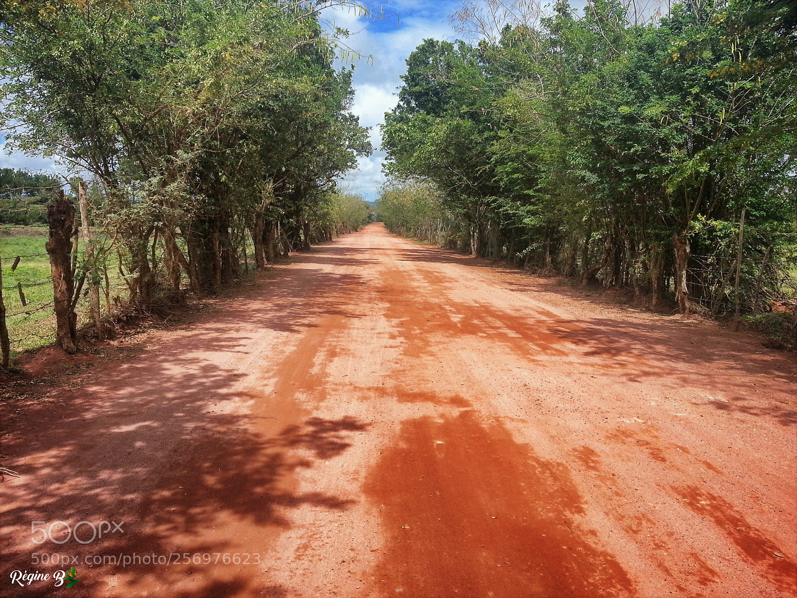 Samsung Galaxy S3 sample photo. Chemin de la poterie photography
