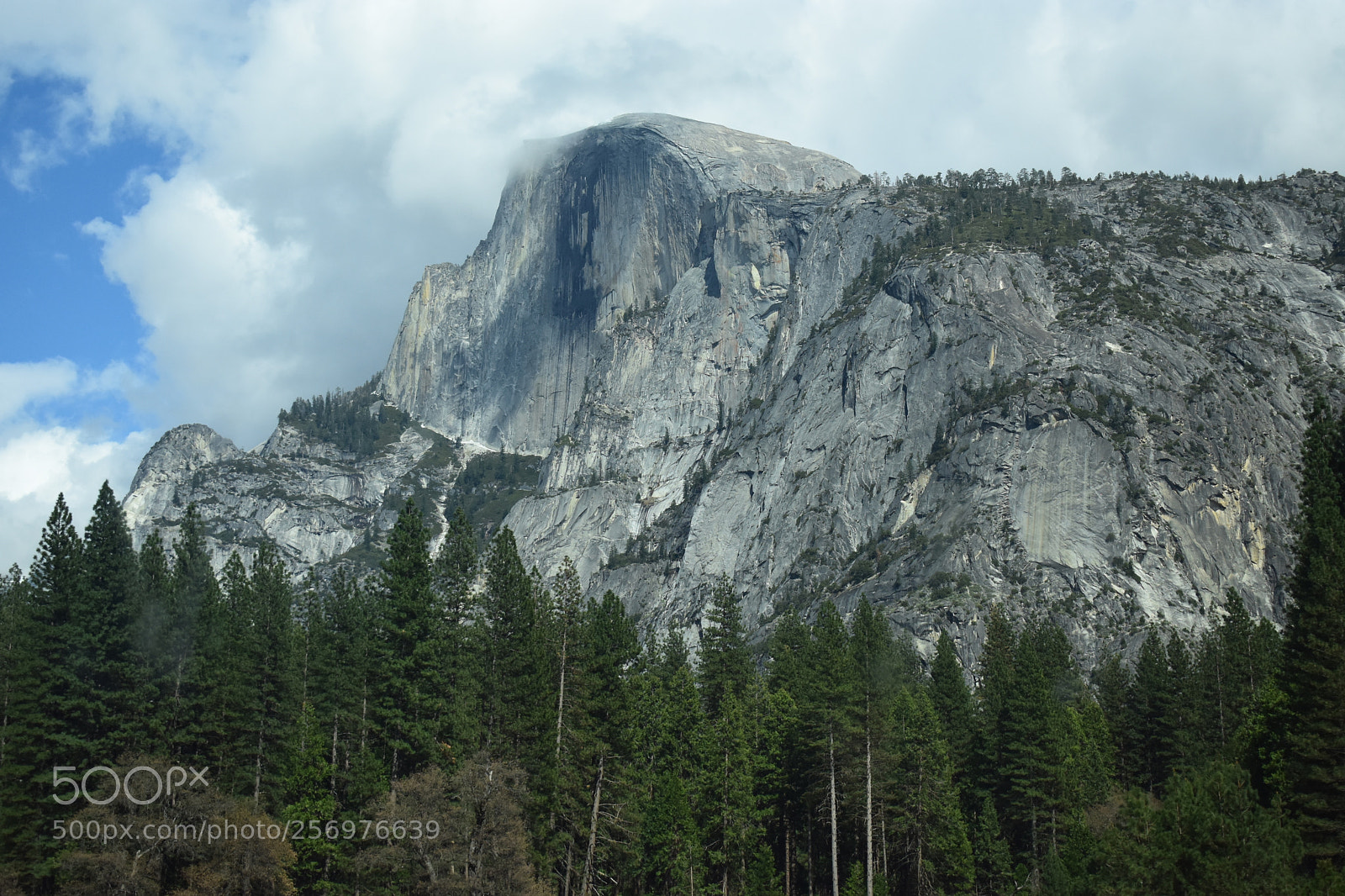 Nikon D3400 sample photo. Half dome photography