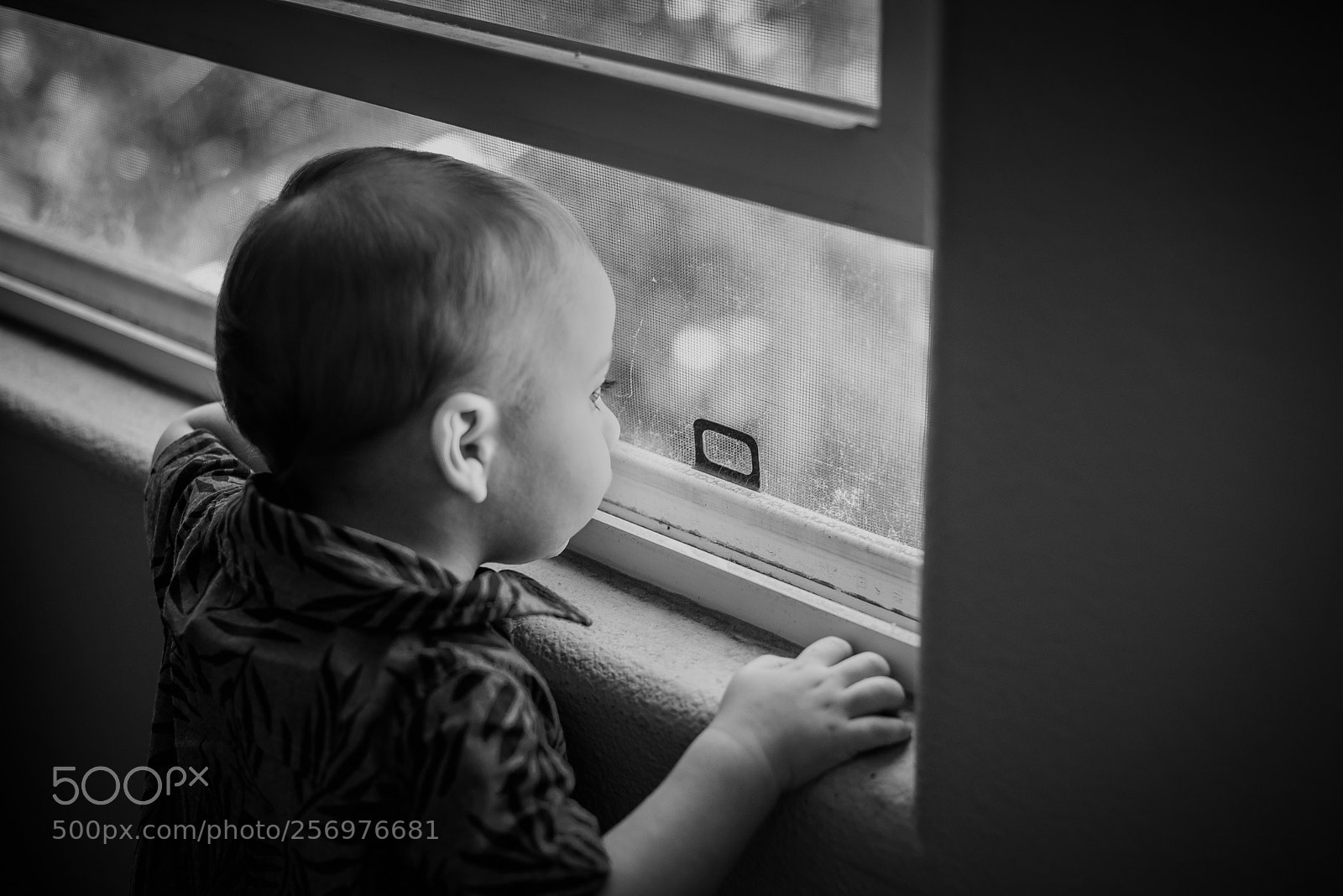 Nikon D750 sample photo. Through a child's eye photography