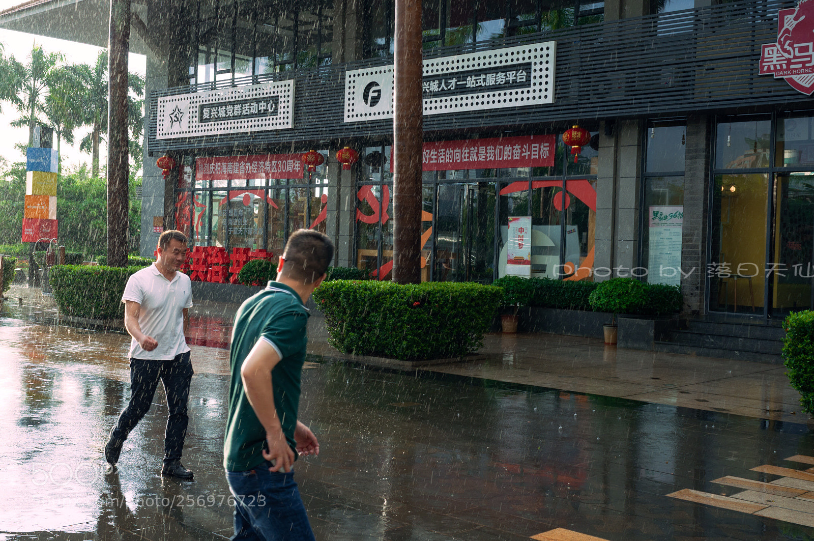 Nikon D90 sample photo. 在雨中3…… photography