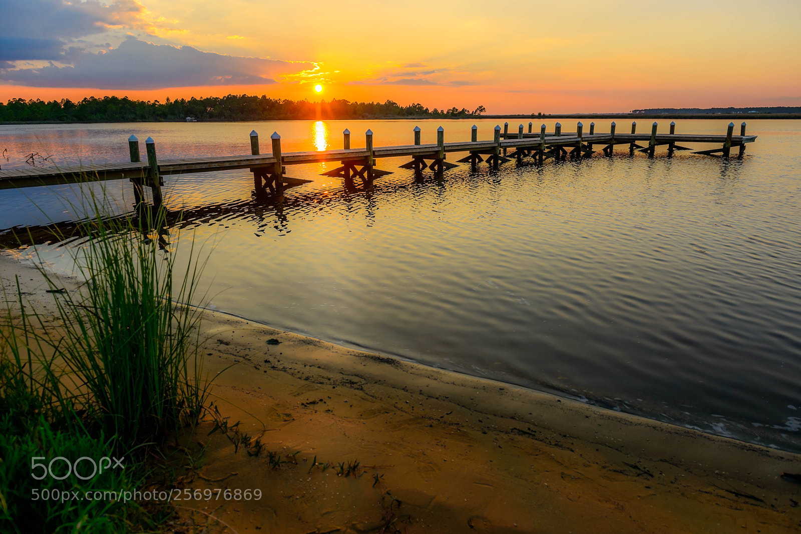 Nikon D800 sample photo. Blackwater bay dock photography