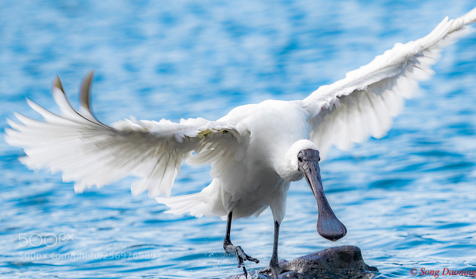 Canon EOS 7D Mark II sample photo. 抢滩登陆 photography