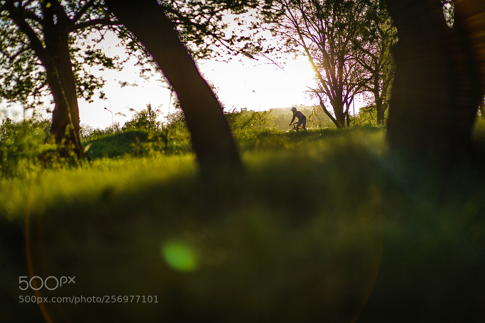 Canon EOS-1Ds Mark II sample photo. Mtb rider photography