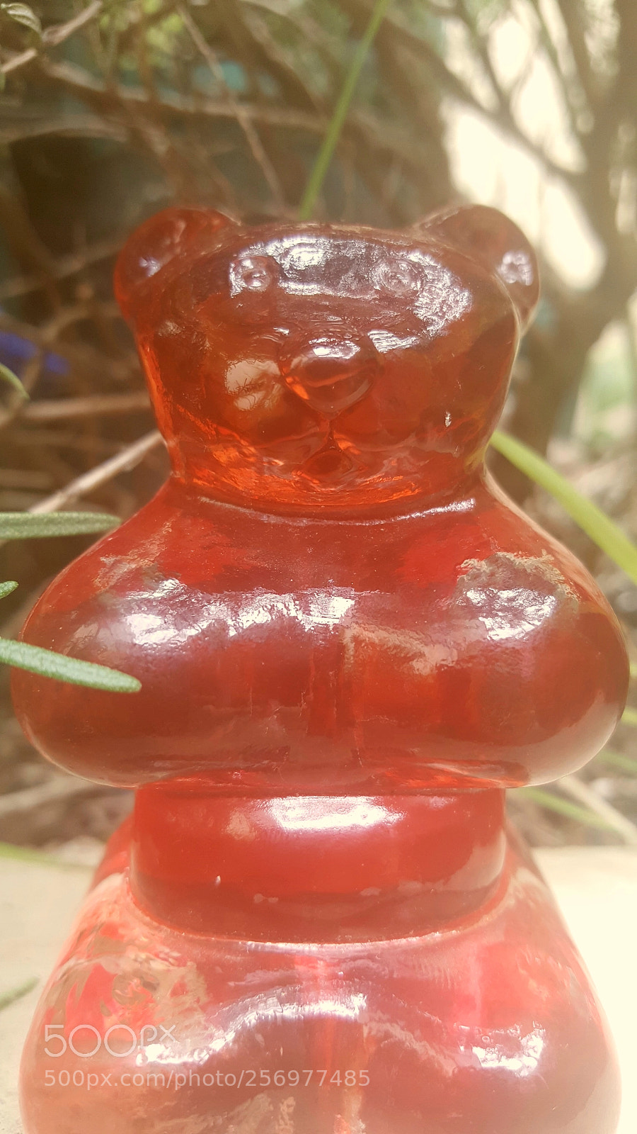 Samsung Galaxy Note5 sample photo. See your victim photography