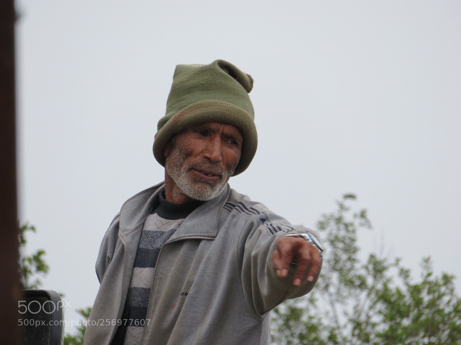 Canon PowerShot SX720 HS sample photo. Untitled photography