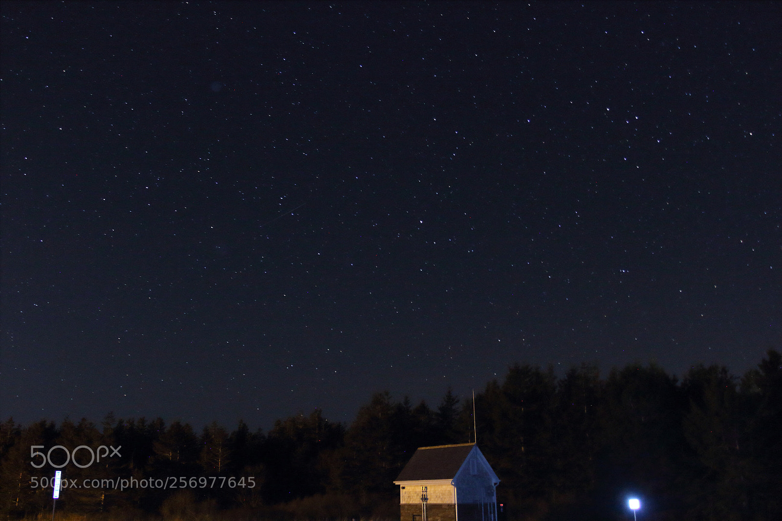 Canon EOS 60D sample photo. Night sky behind the photography