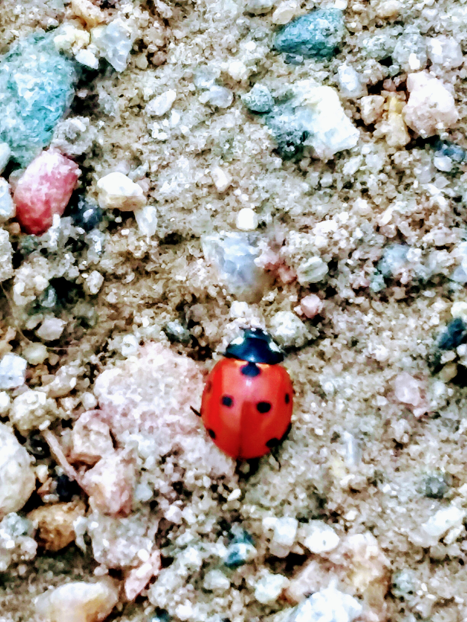 Samsung Galaxy J7 Pop sample photo