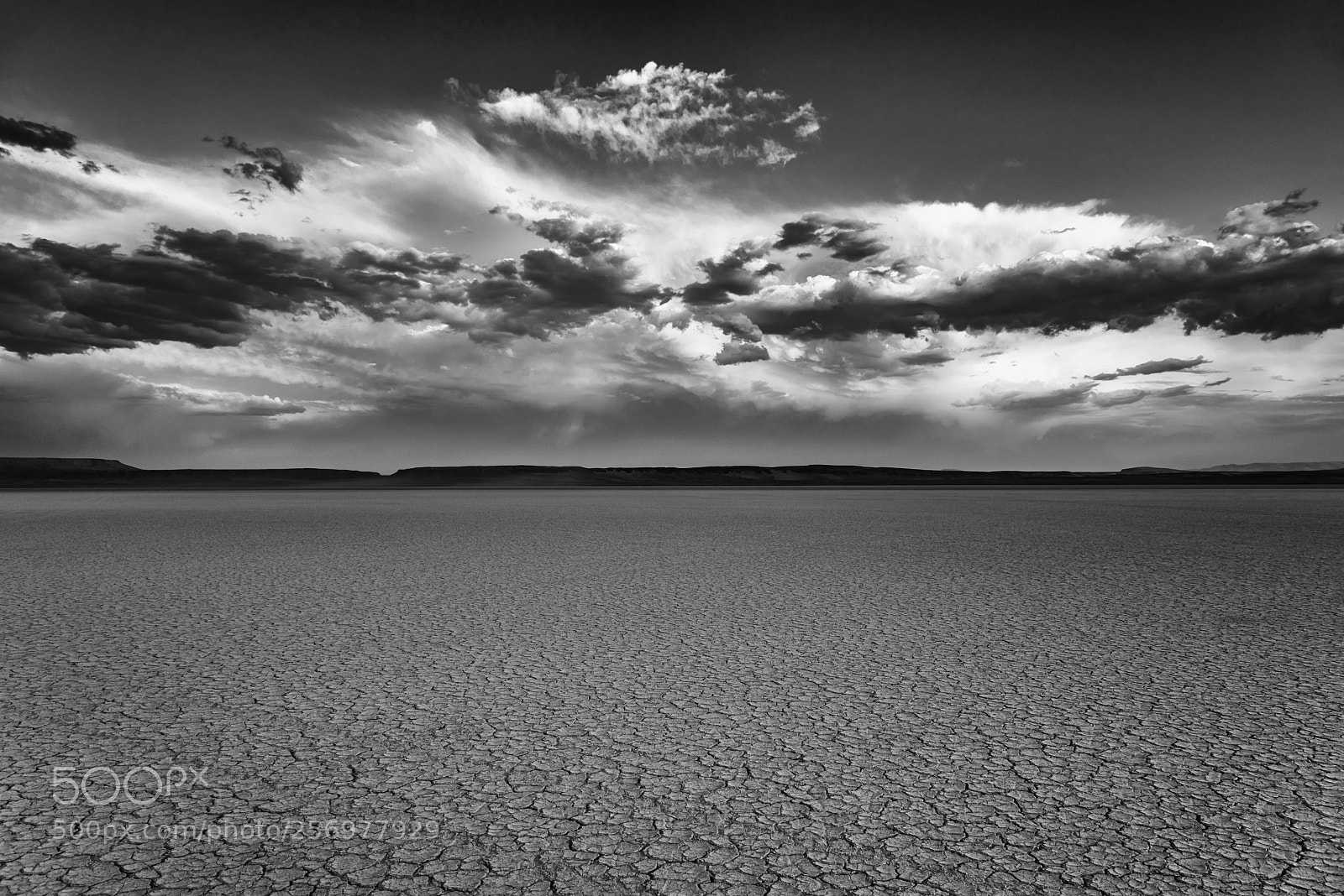 Pentax K-1 sample photo. Alvord desert b&w photography