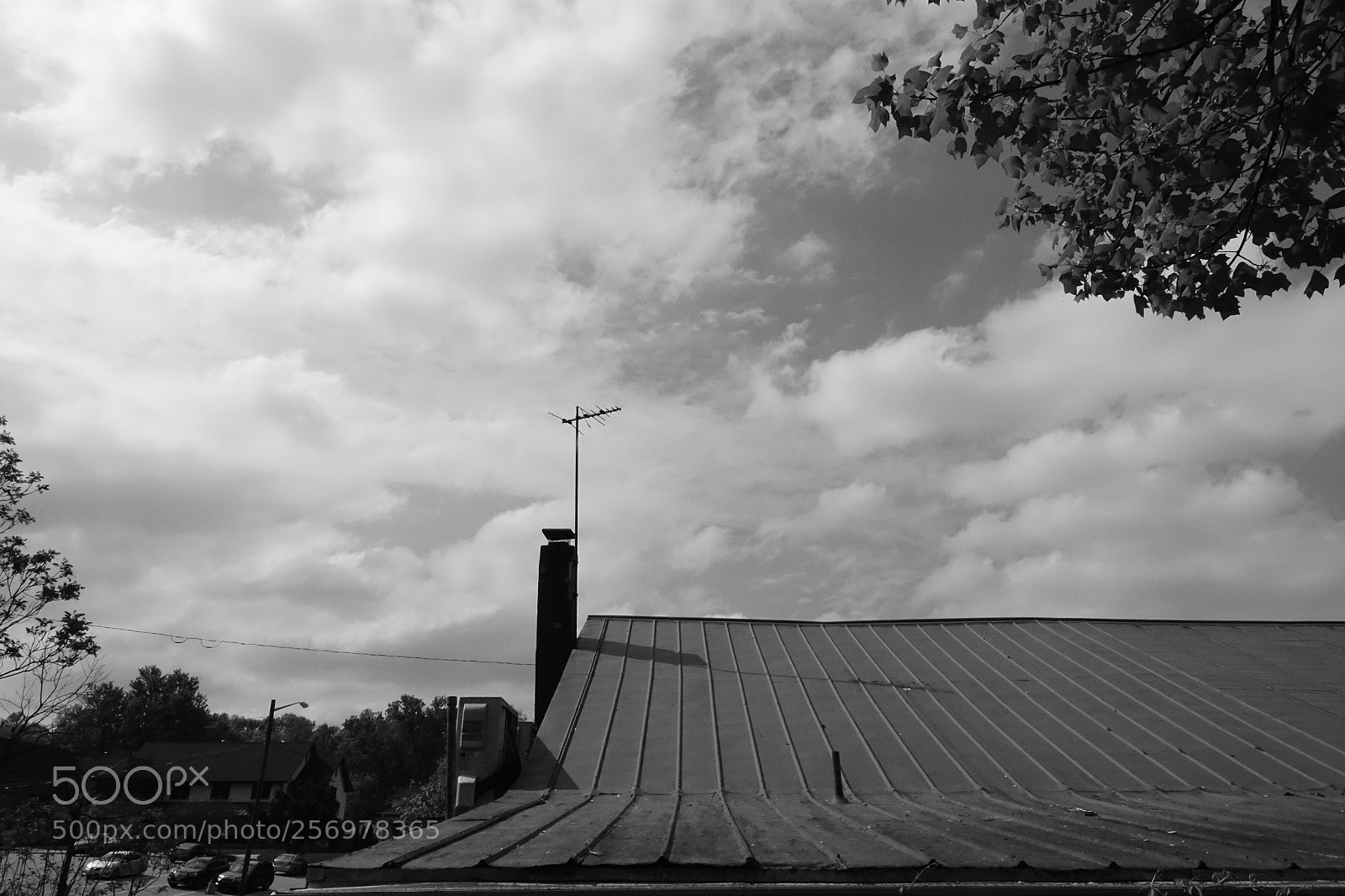 Sony Cyber-shot DSC-RX10 III sample photo. Tuned into the world photography