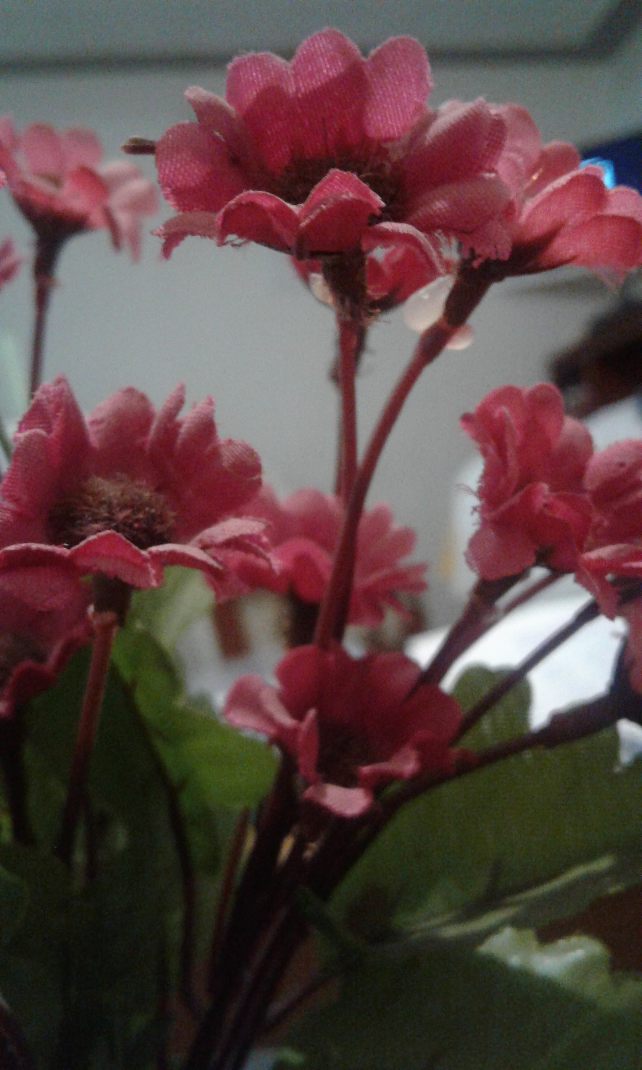 Samsung Galaxy J1 sample photo. Flores de mentira photography