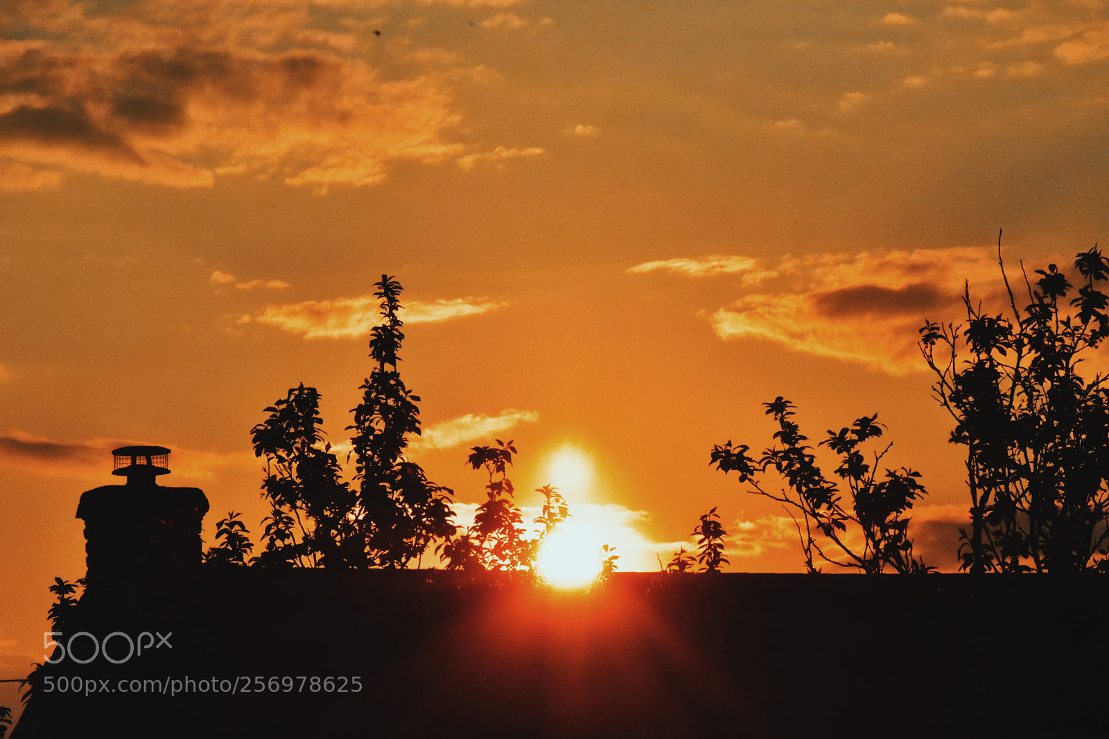 Nikon D7200 sample photo. Untitled photography