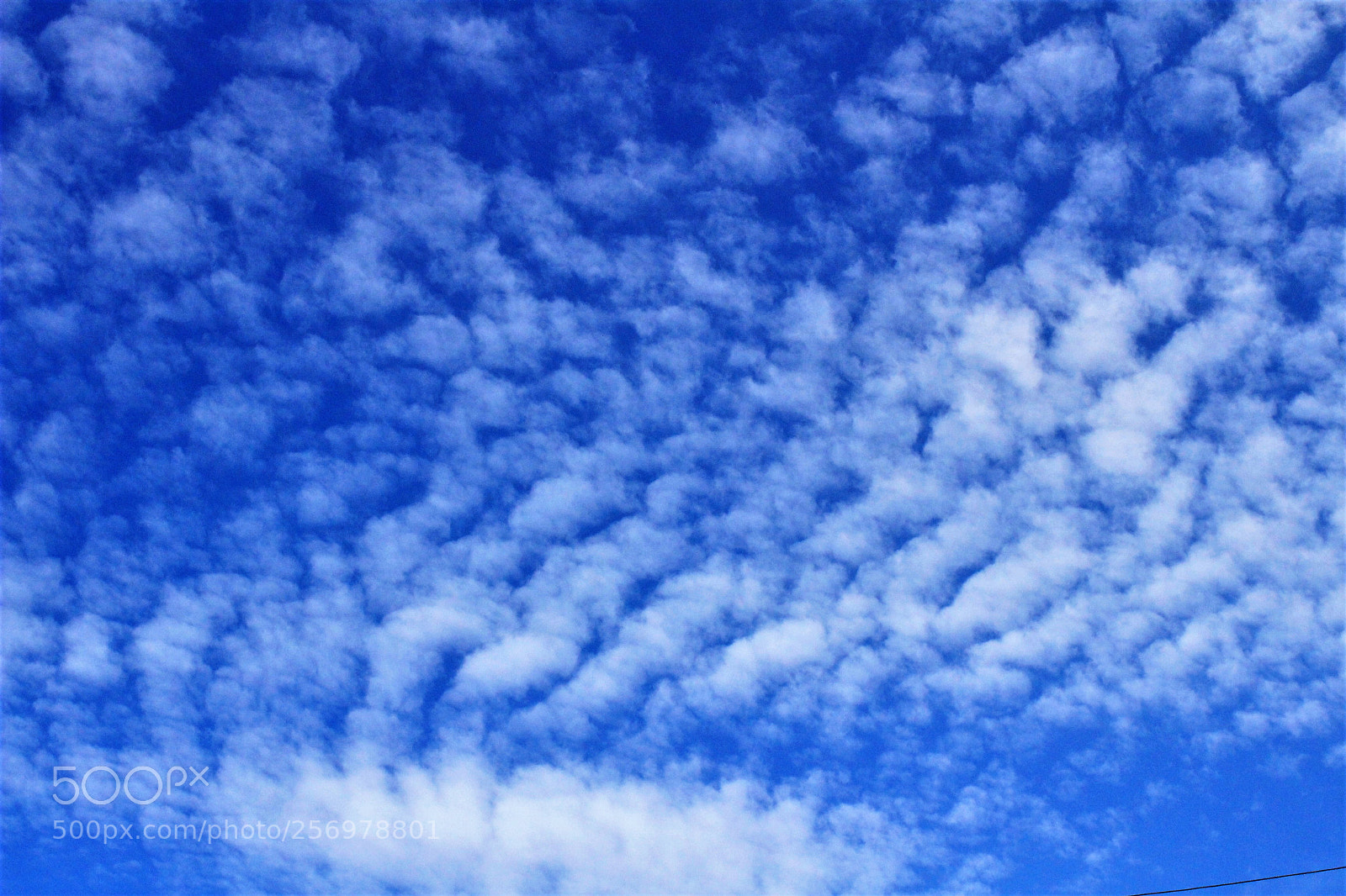 Canon EOS 1300D (EOS Rebel T6 / EOS Kiss X80) sample photo. Mackerel sky photography