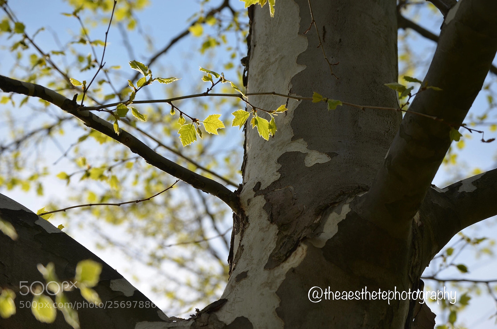 Nikon D5100 sample photo. Skyline photography