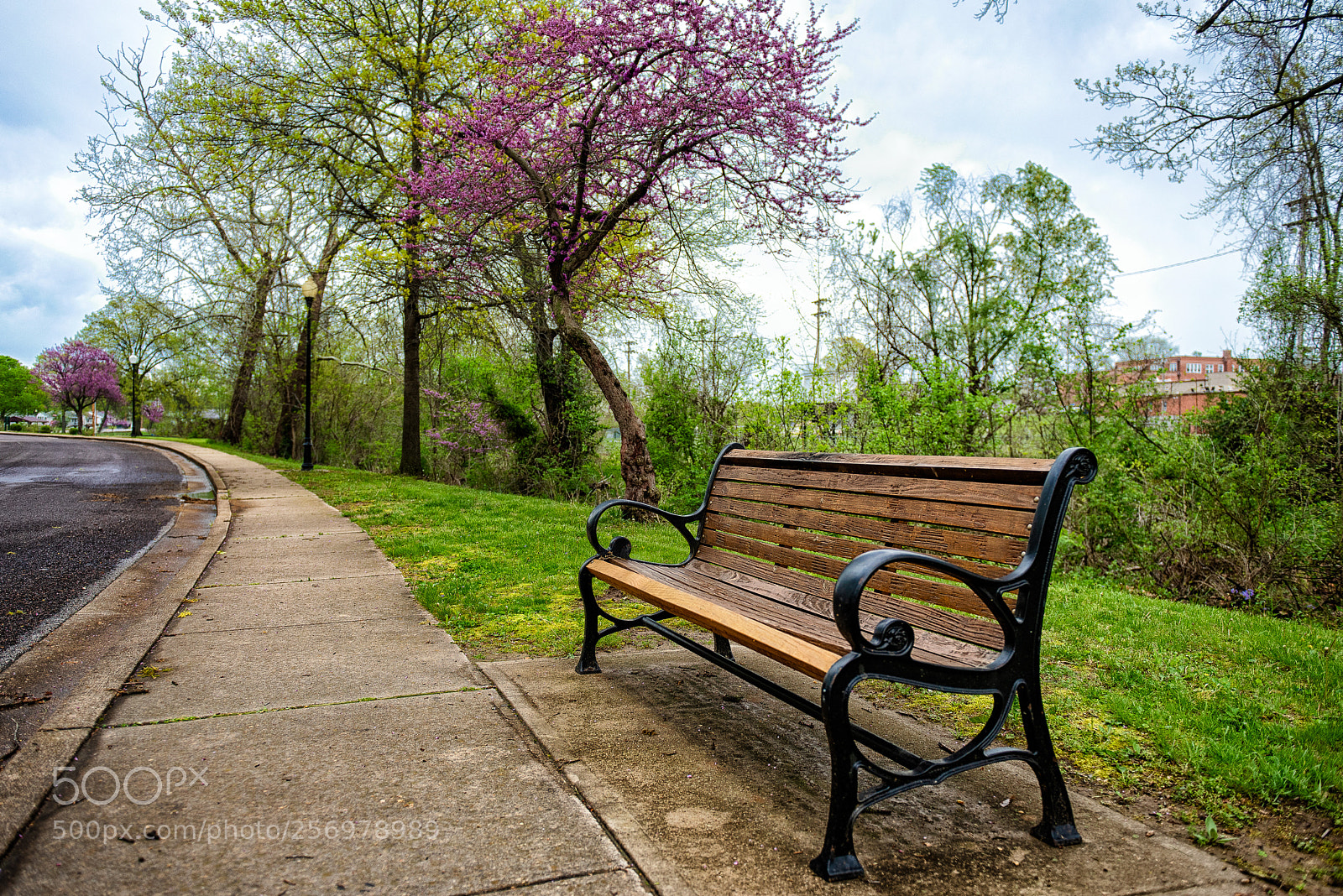 Nikon D810 sample photo. Date photography