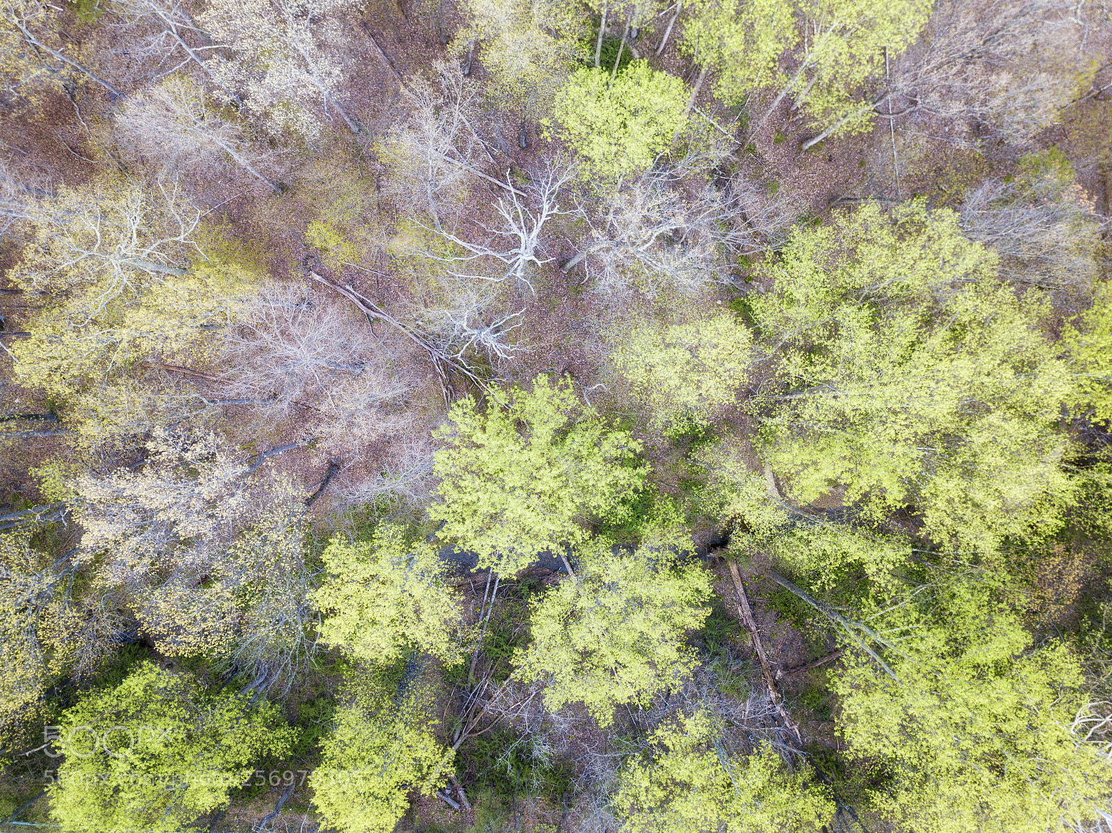 DJI FC220 sample photo. A spring flight photography