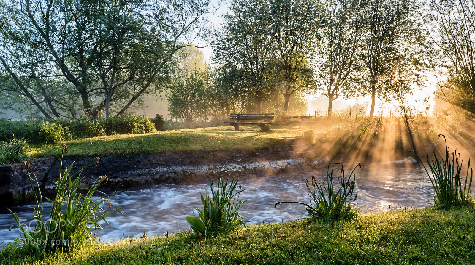 Nikon D810 sample photo. A misty sunrise photography