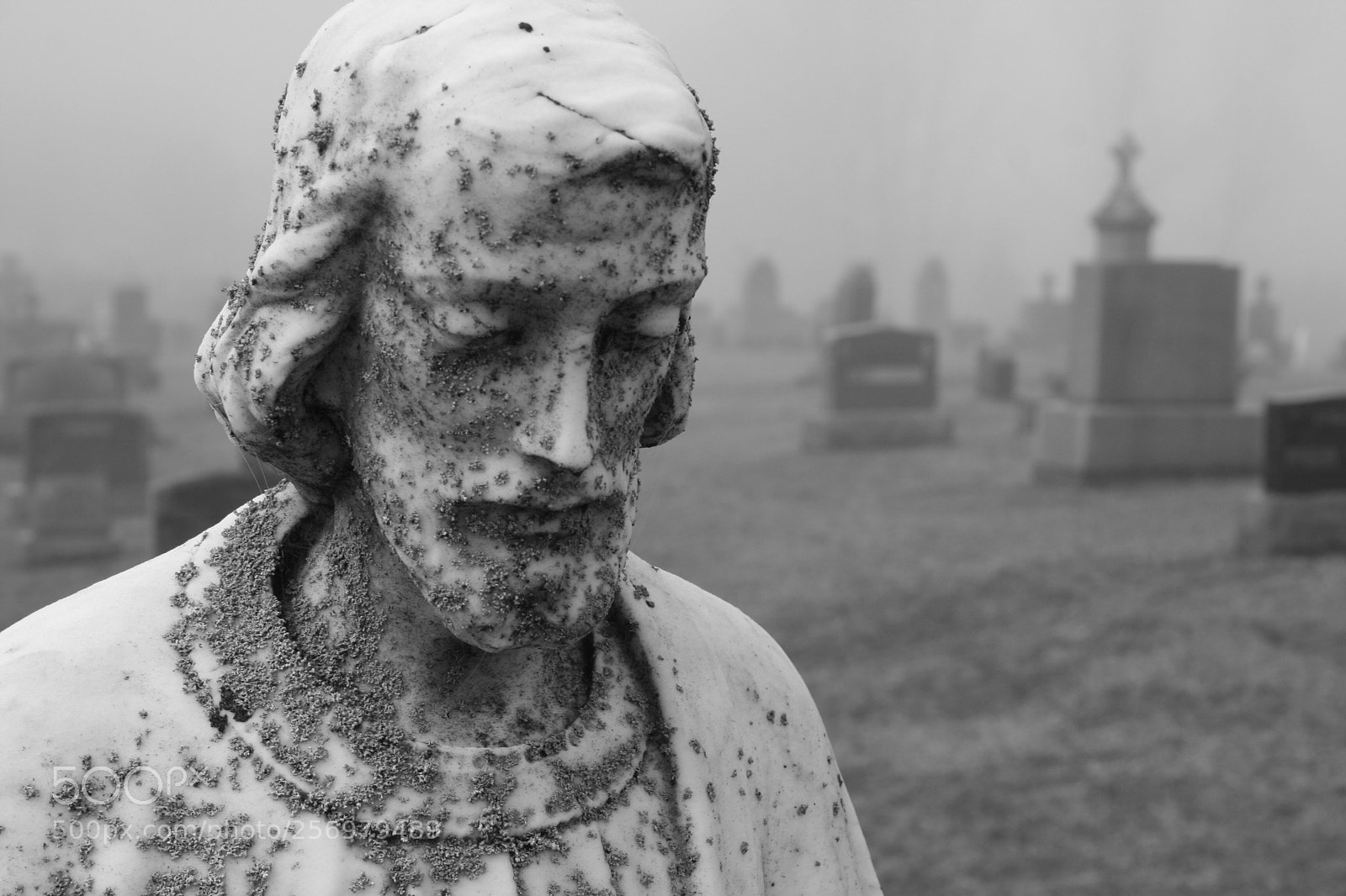 Canon EOS 350D (EOS Digital Rebel XT / EOS Kiss Digital N) sample photo. Mount saint joseph cemetery
 photography