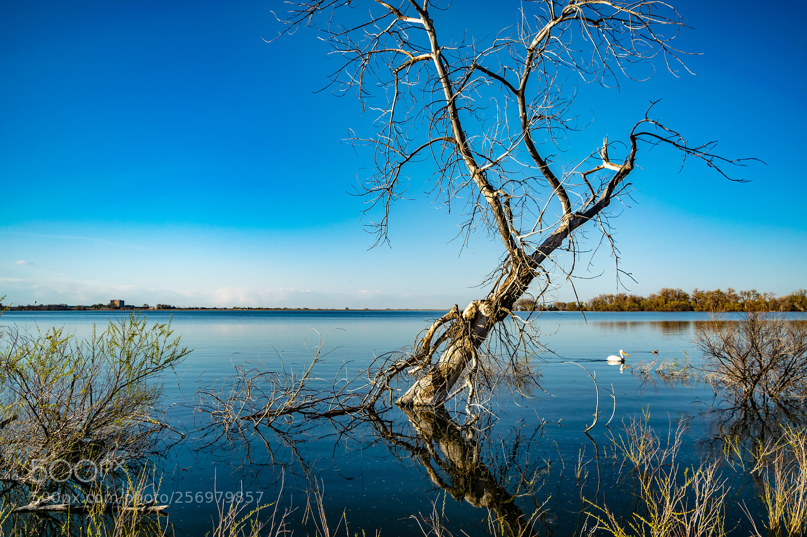 Nikon D3300 sample photo. Barr lake photography