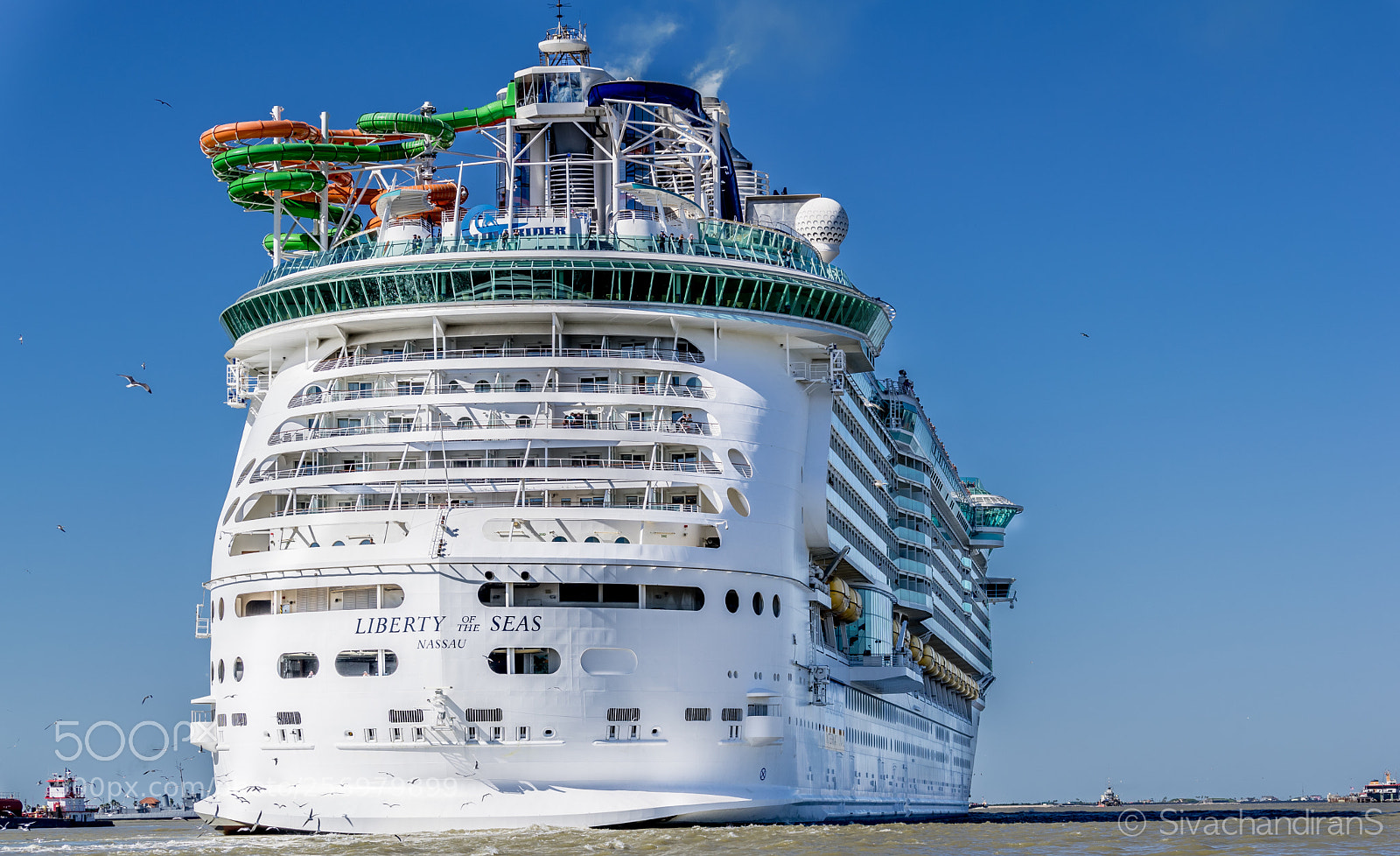 Nikon D5500 sample photo. Liberty of the seas photography