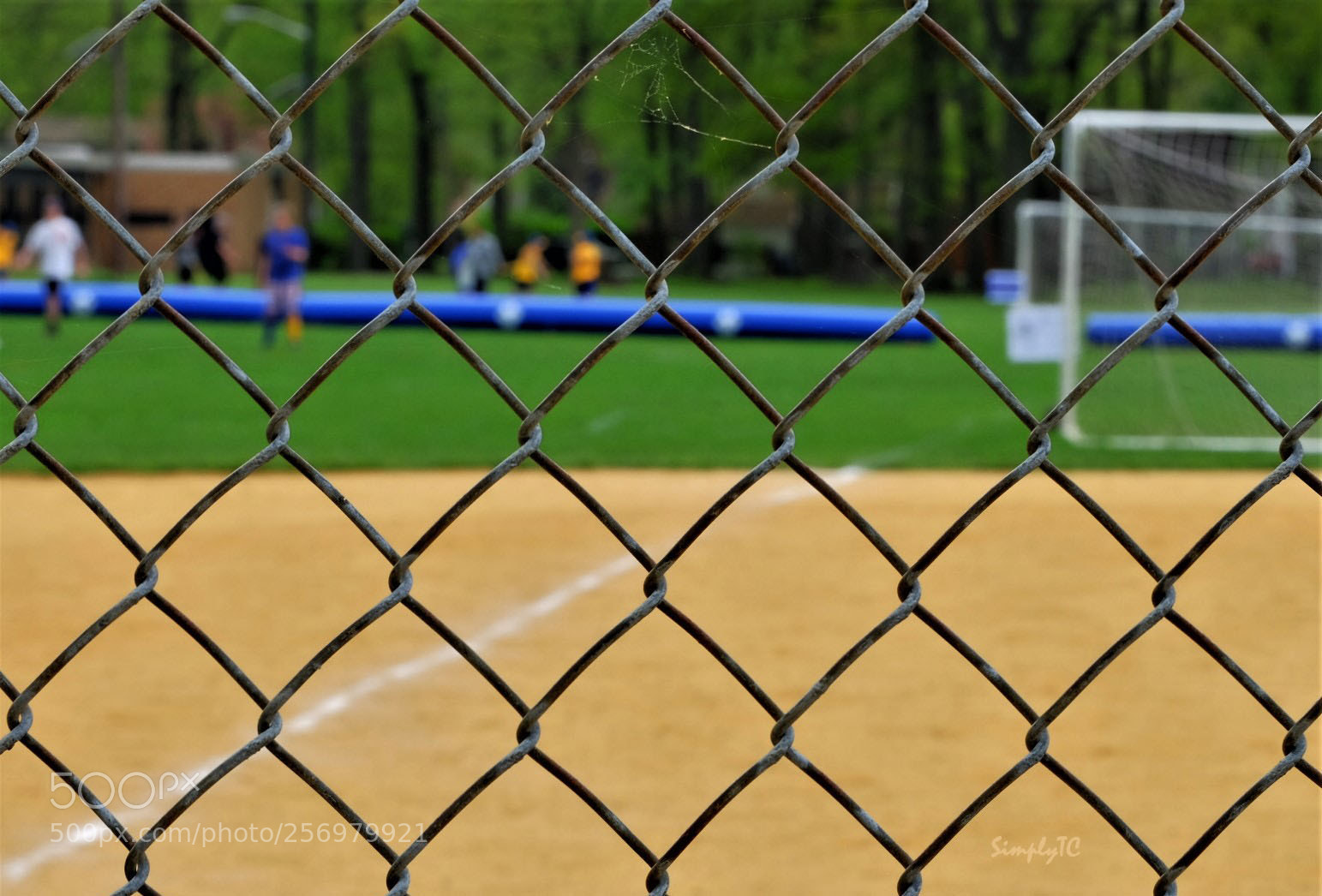 Fujifilm X-T1 sample photo. Springtime comes to cranford photography