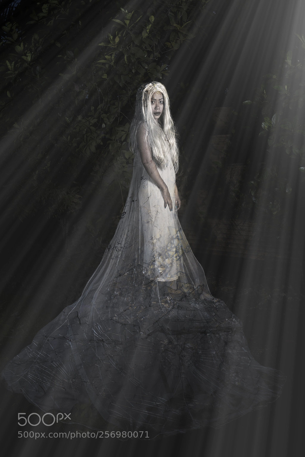 Nikon D810 sample photo. The white lady photography