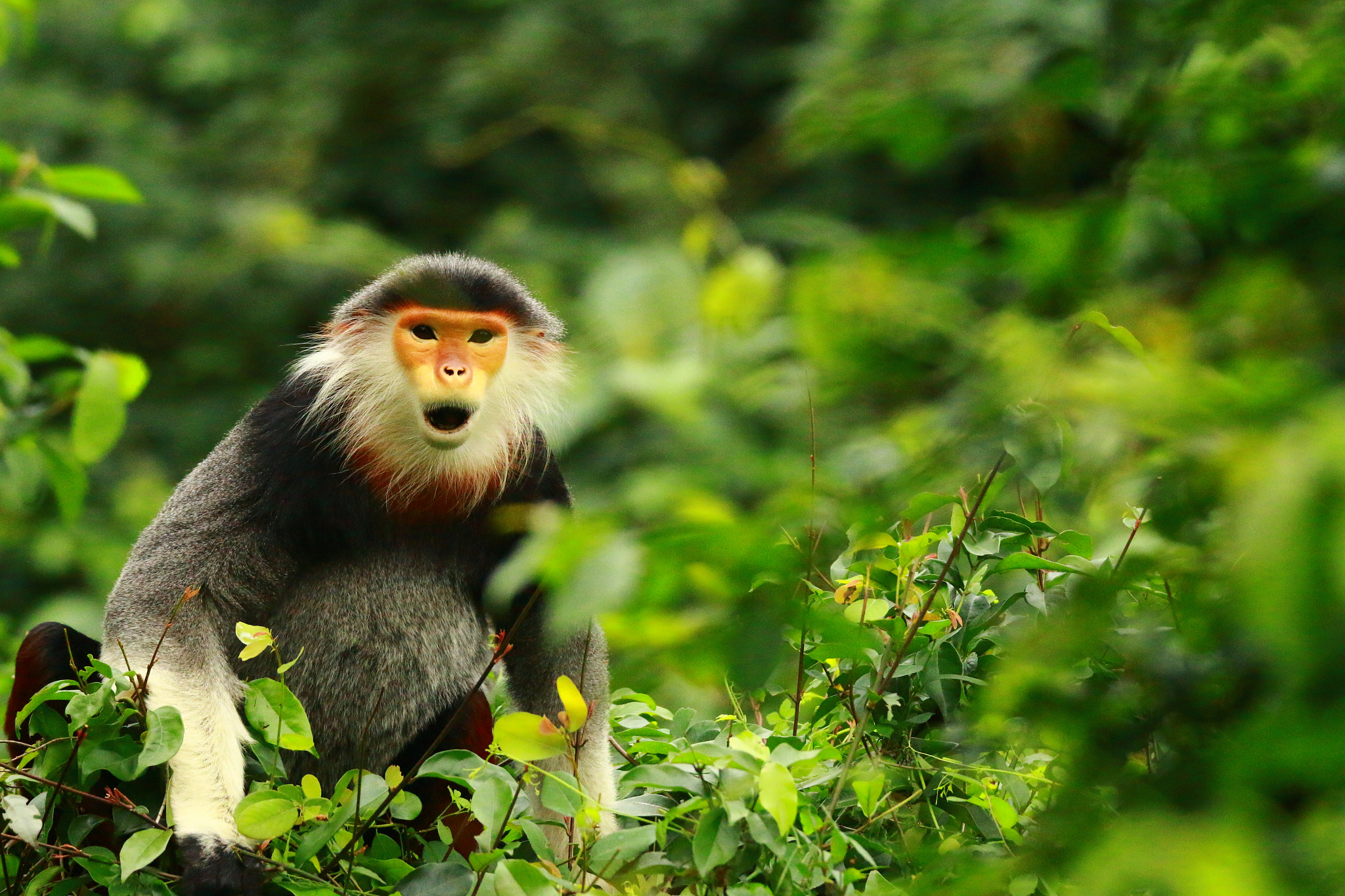 Tamron SP 150-600mm F5-6.3 Di VC USD sample photo. Img photography