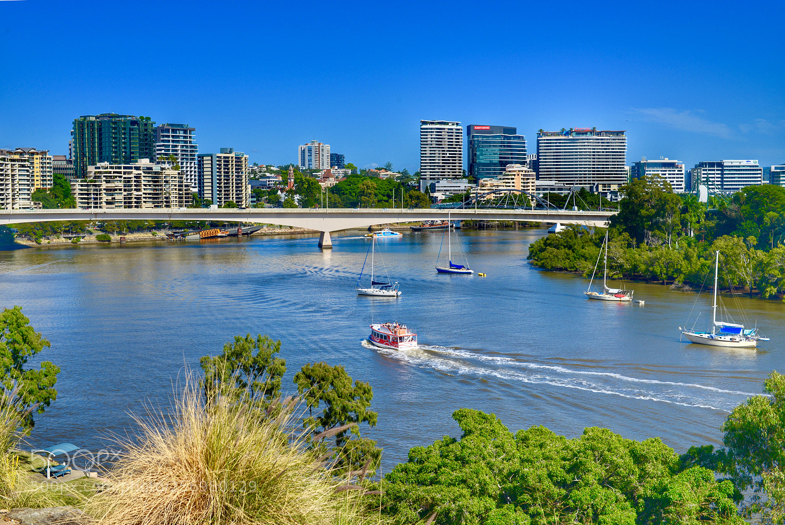 Nikon D800 sample photo. 《the beautiful brisbane river .》 photography
