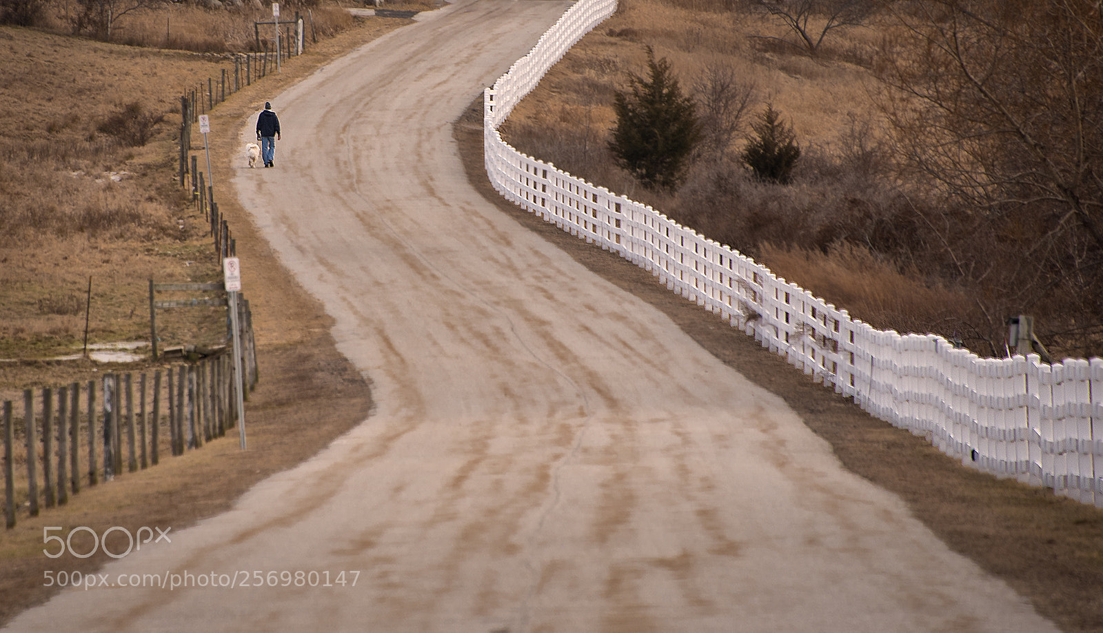Nikon D750 sample photo. The road photography