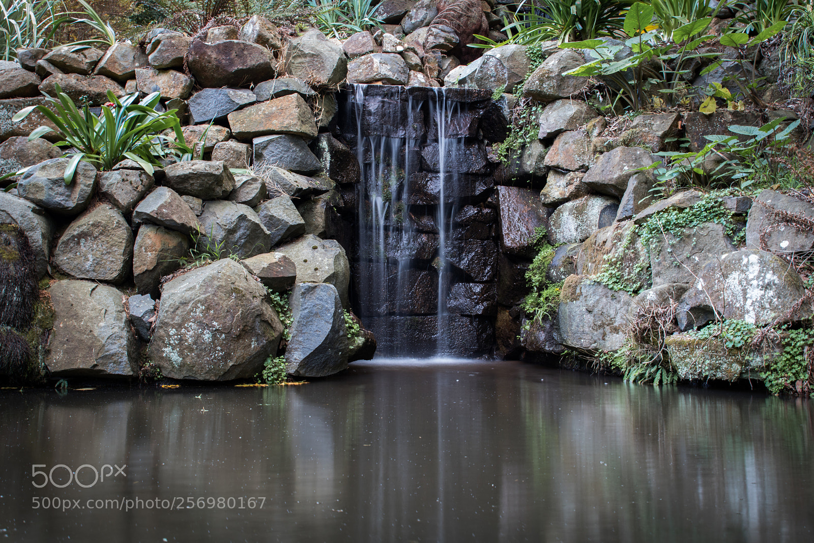 Canon EOS 80D sample photo. Autumn in melbourne 5 photography
