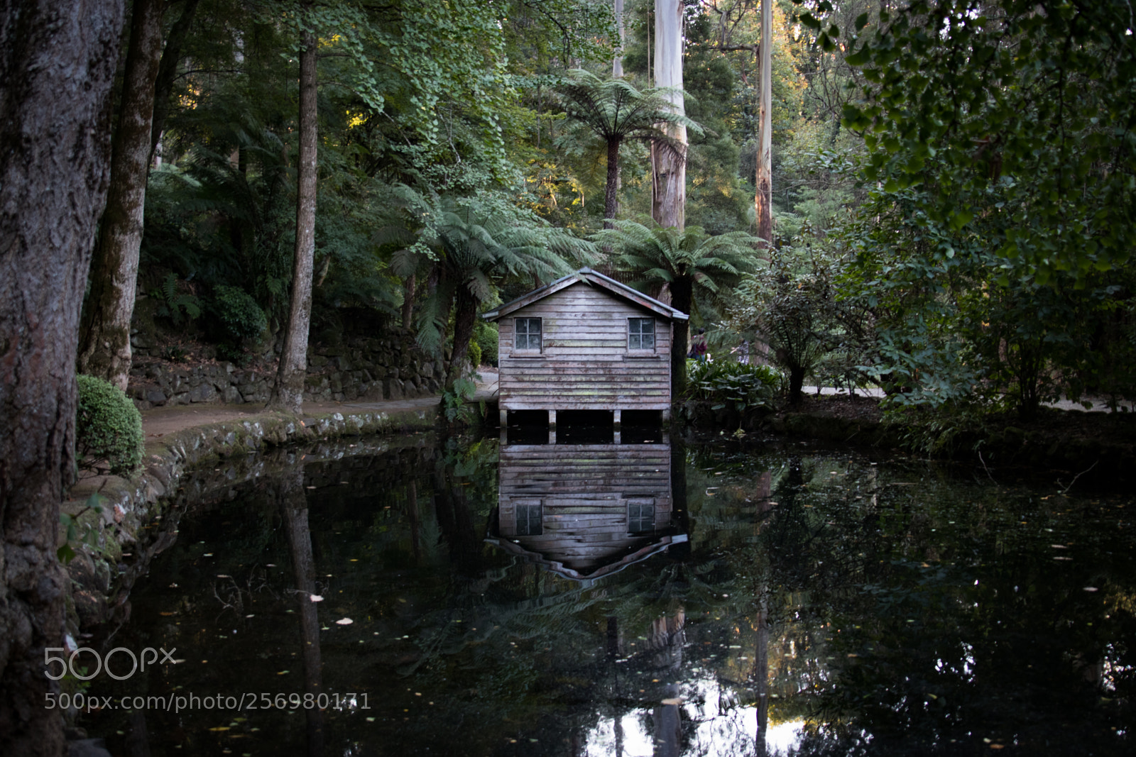 Canon EOS 80D sample photo. Autumn in melbourne 7 photography