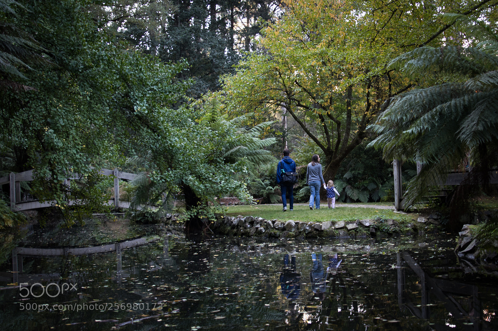 Canon EOS 80D sample photo. Autumn in melbourne 8 photography