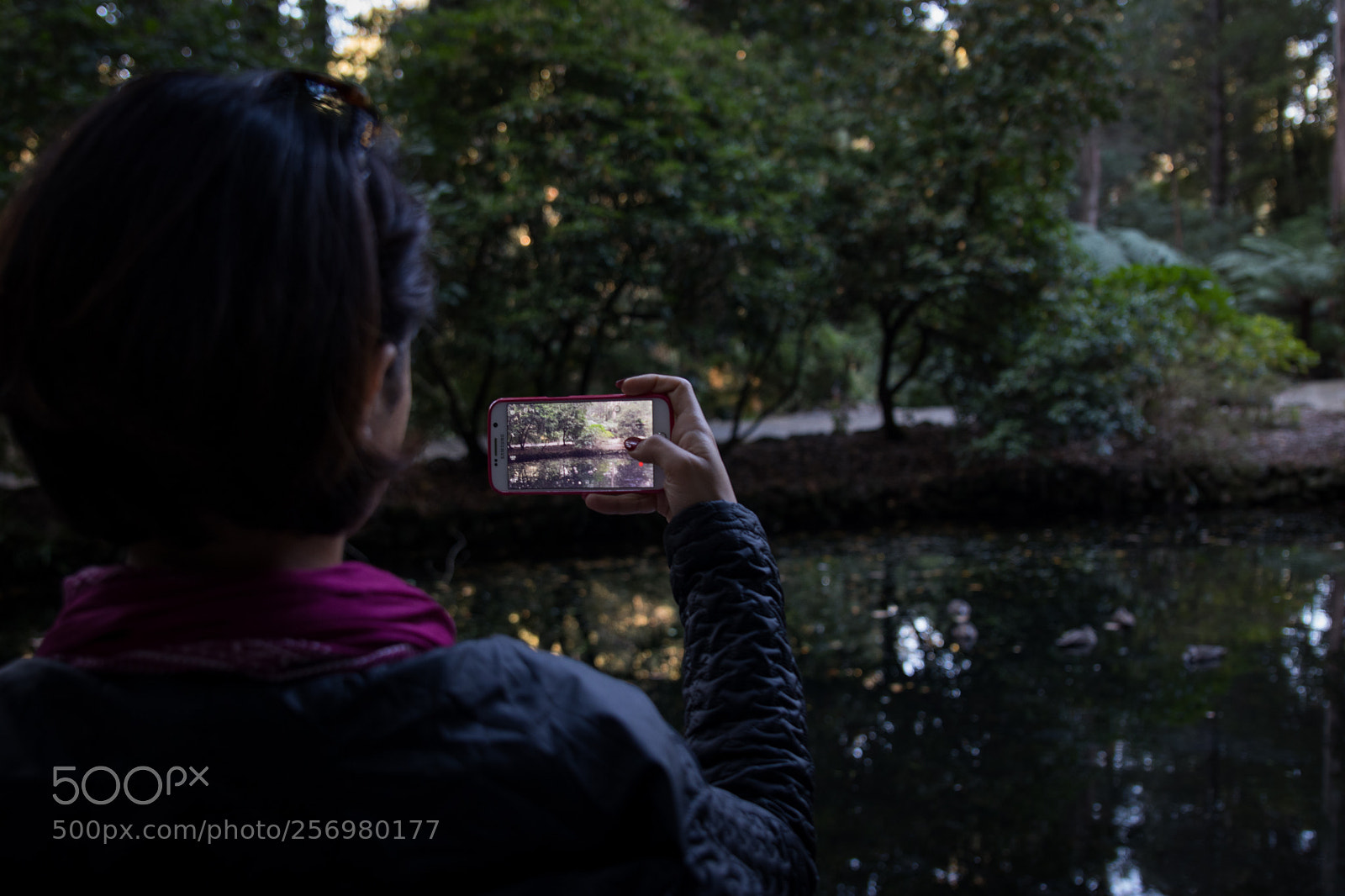Canon EOS 80D sample photo. Autumn in melbourne 10 photography