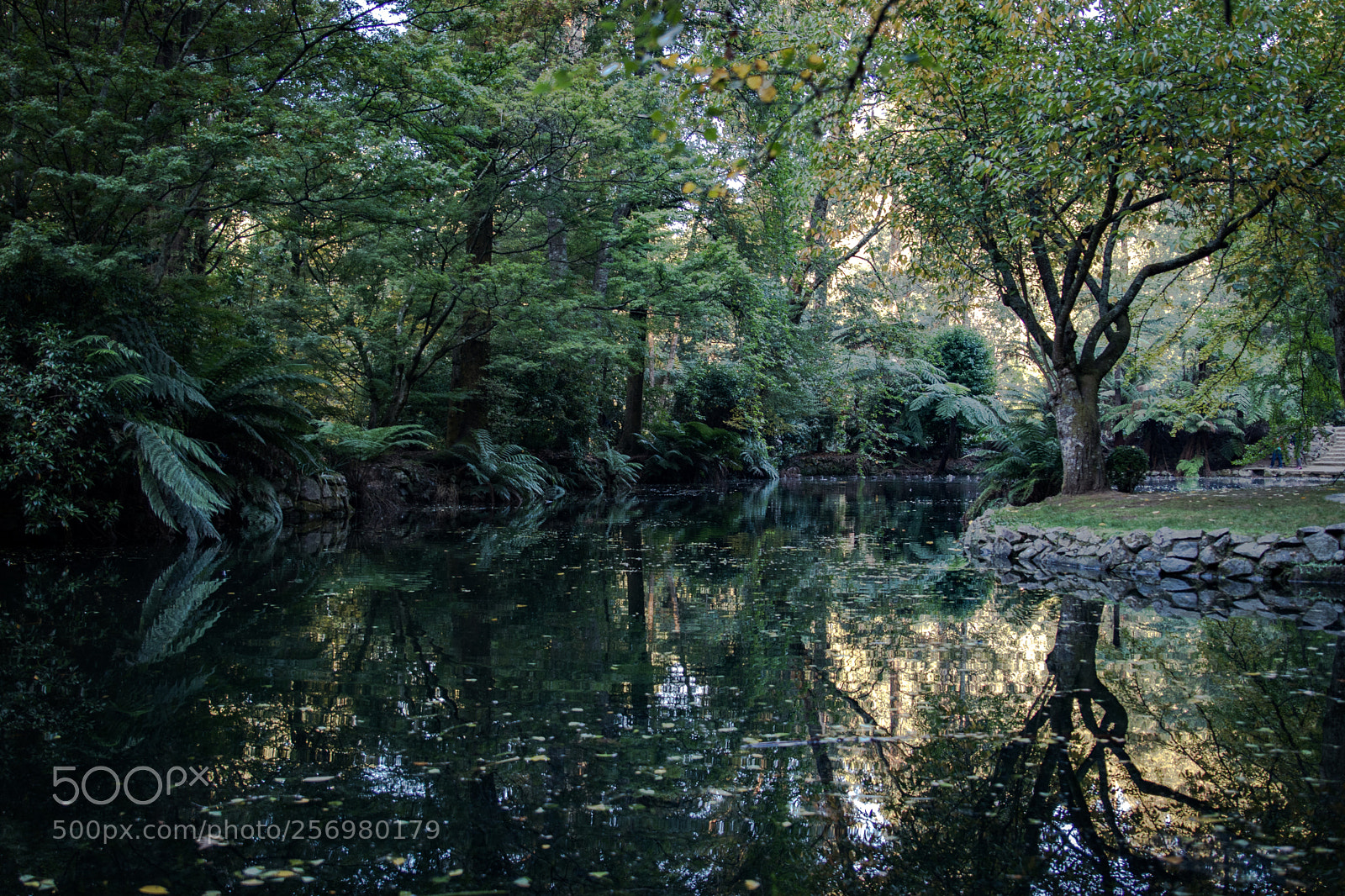 Canon EOS 80D sample photo. Autumn in melbourne 11 photography