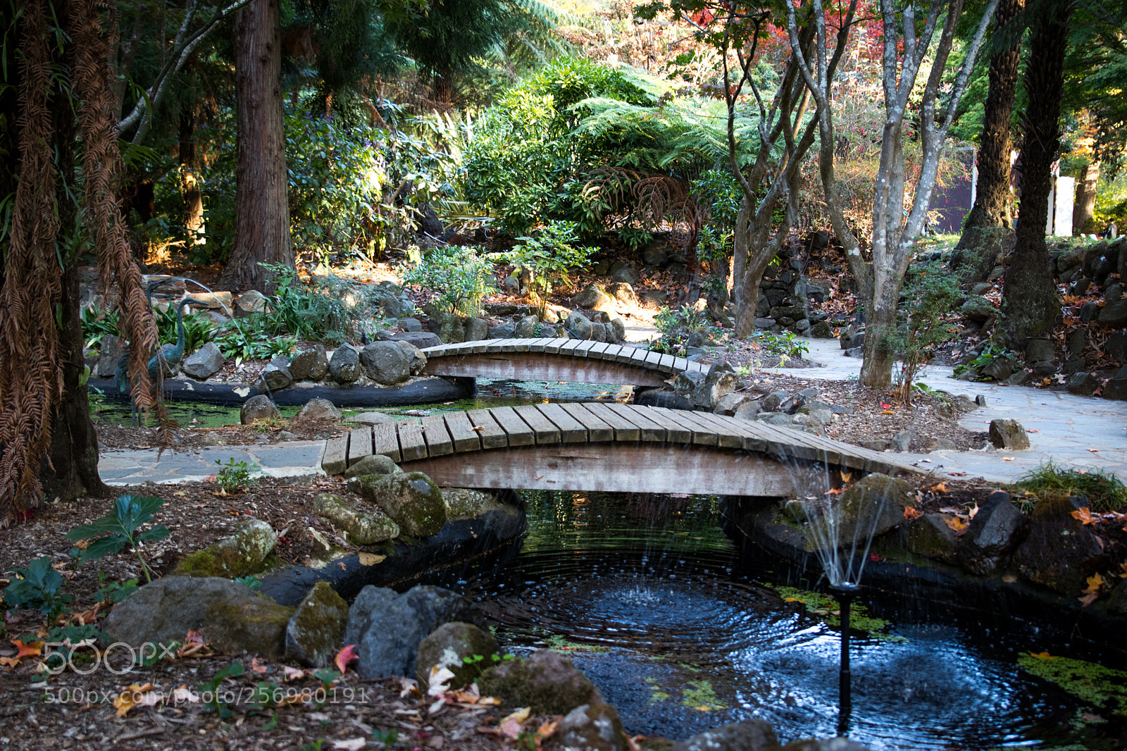 Canon EOS 80D sample photo. Autumn in melbourne 15 photography