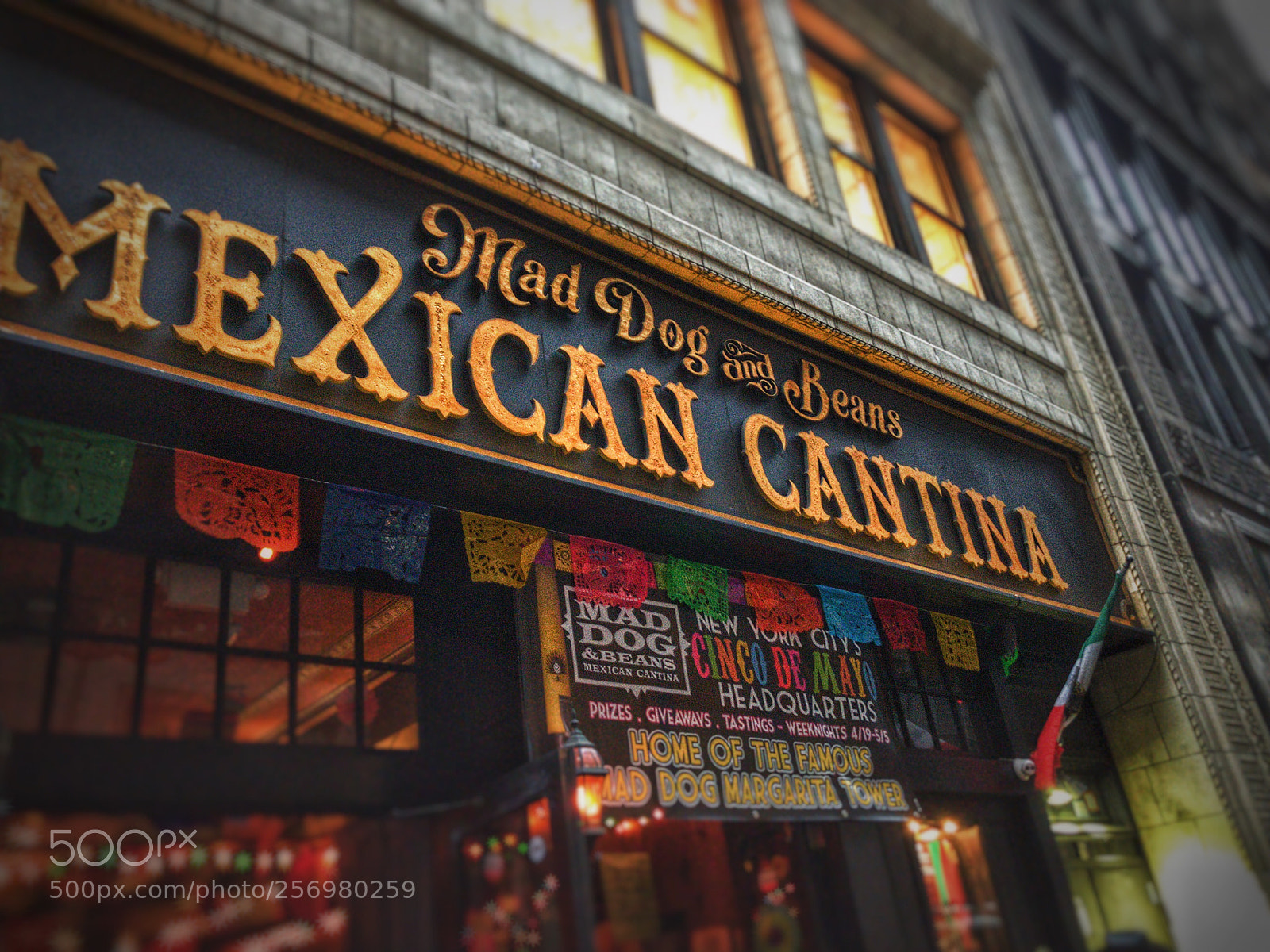 Apple iPhone X sample photo. Happy cinco de mayo photography