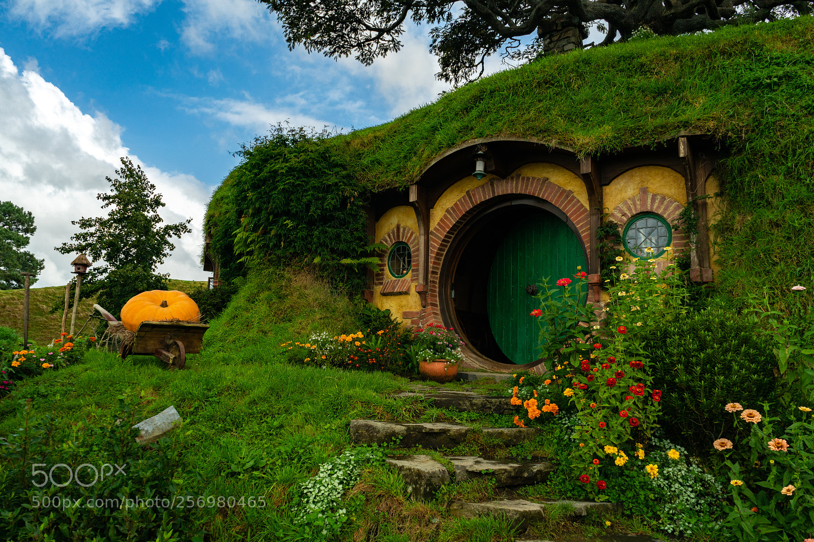 Sony a7R II sample photo. Bilbo's photography
