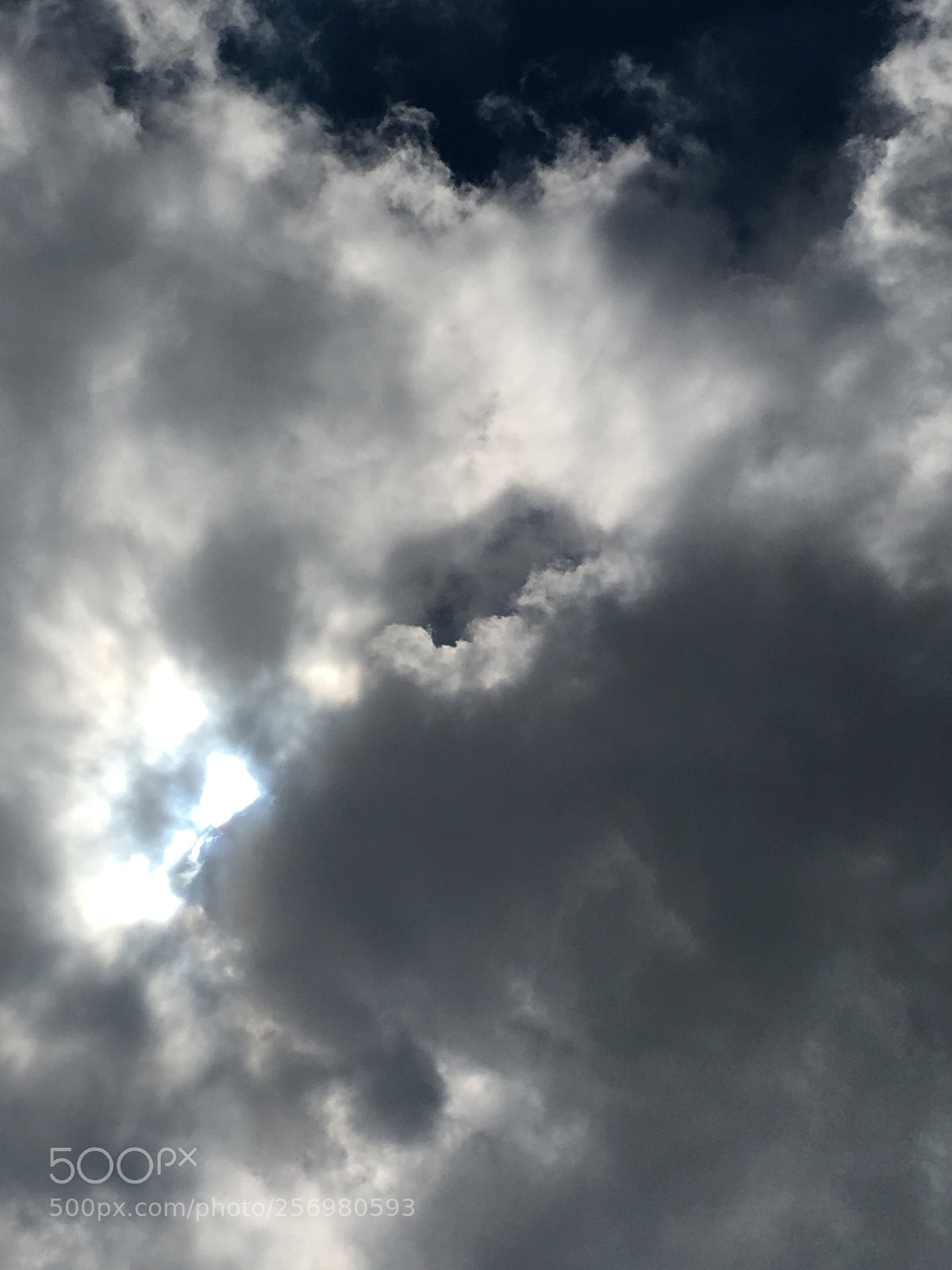Apple iPhone 6s sample photo. Untitled photography