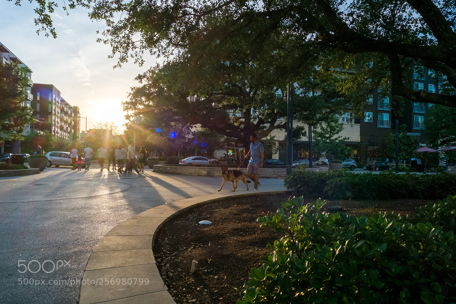 Fujifilm X-Pro1 sample photo. Sunset photography