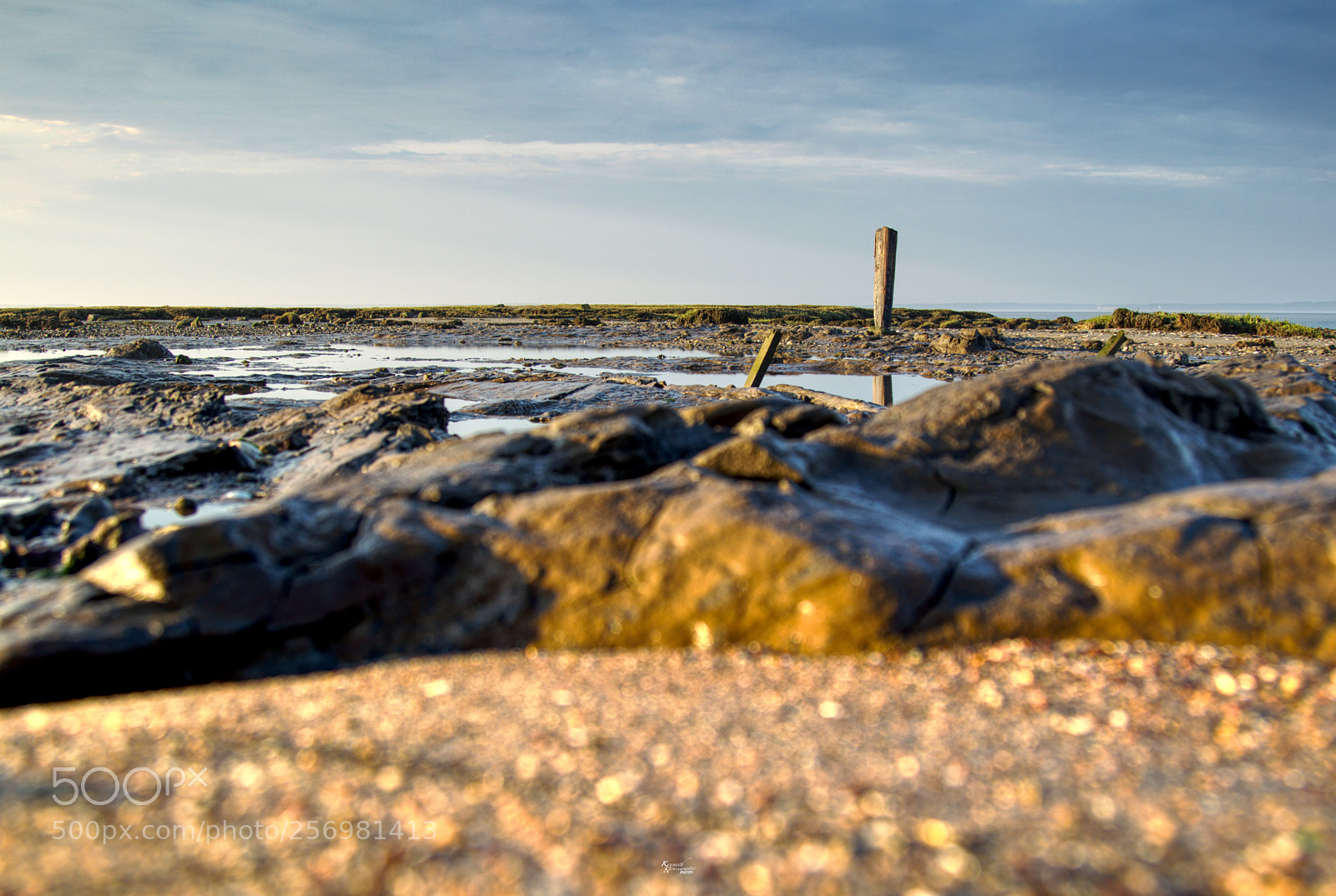 Canon EOS M5 sample photo. Mud flat photography