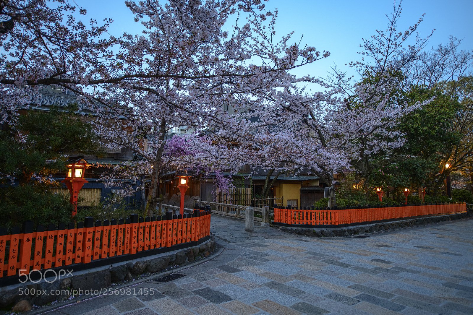 Nikon D850 sample photo. Spring at gion kyoto (祇園, ぎおん) photography