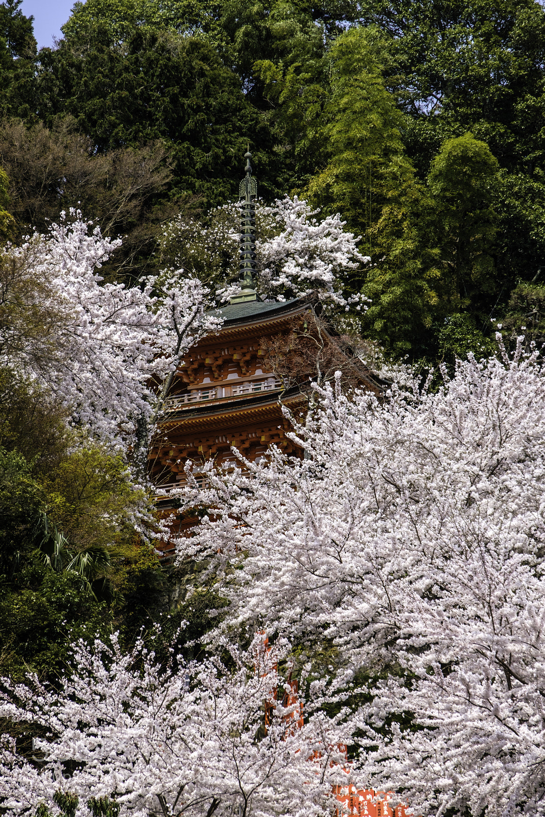 Fujifilm X-T2 sample photo. Japan-竹生島三重塔 photography