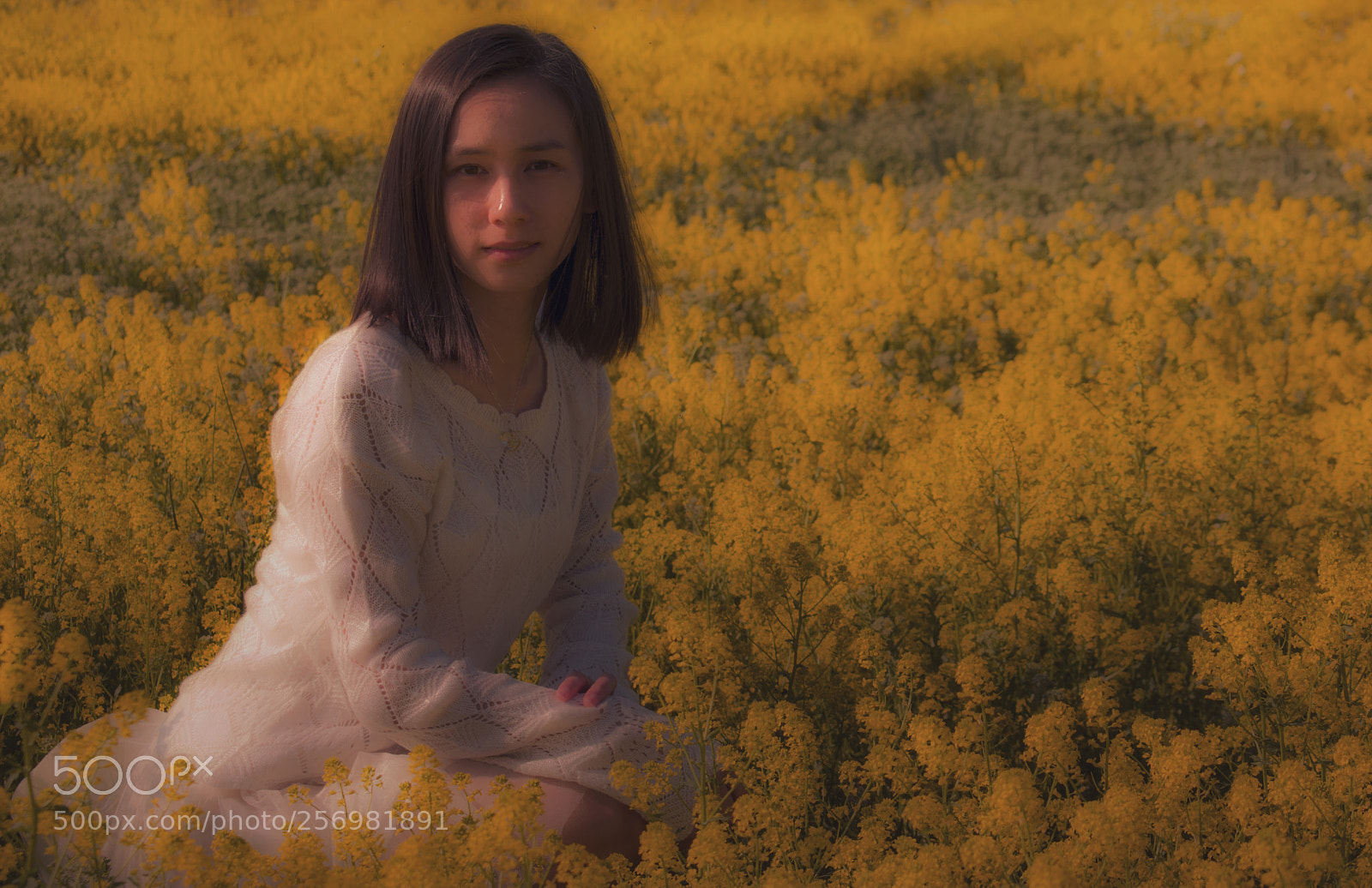Nikon D3400 sample photo. Flower girl photography