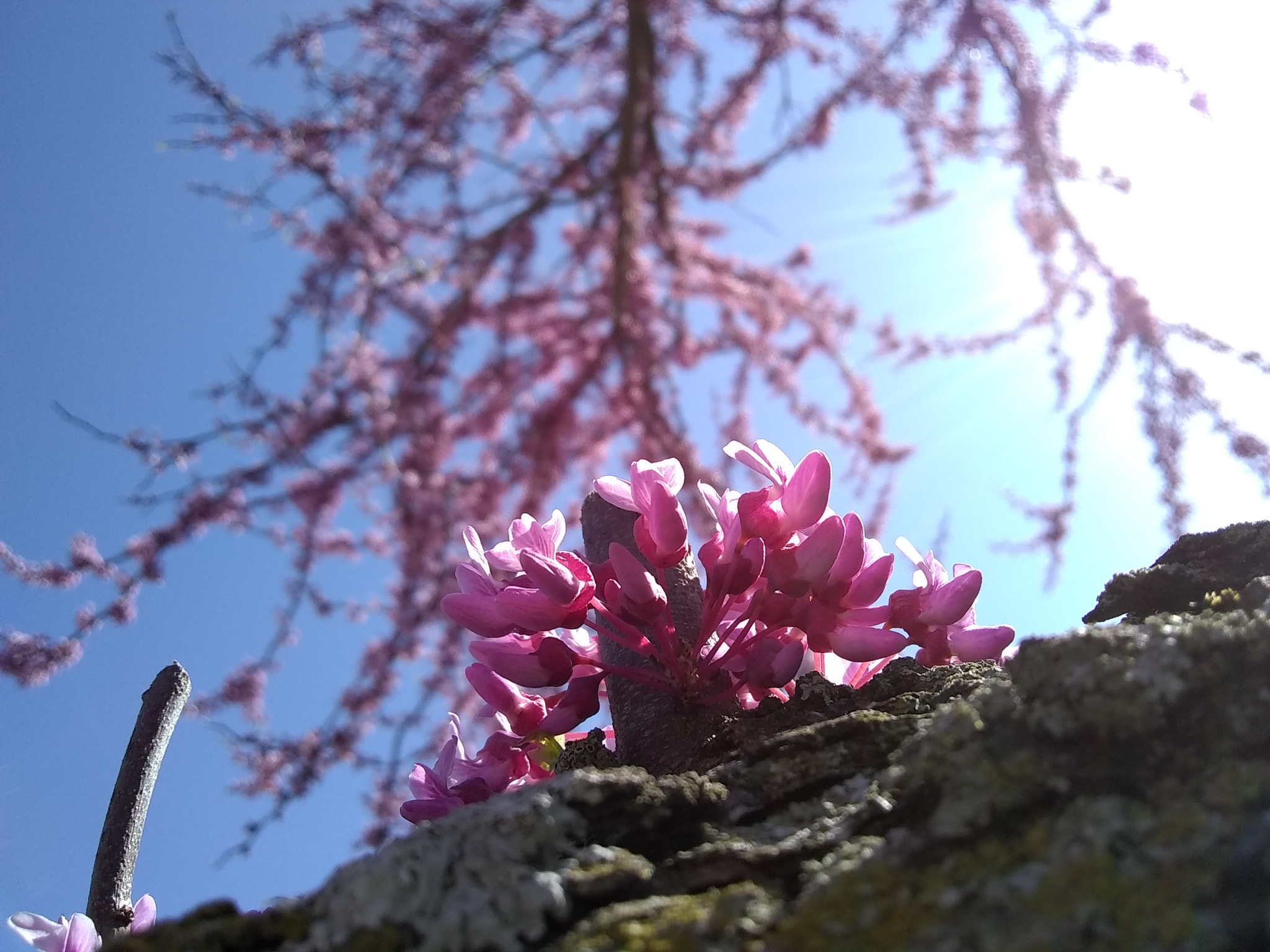 Motorola Moto E4 sample photo