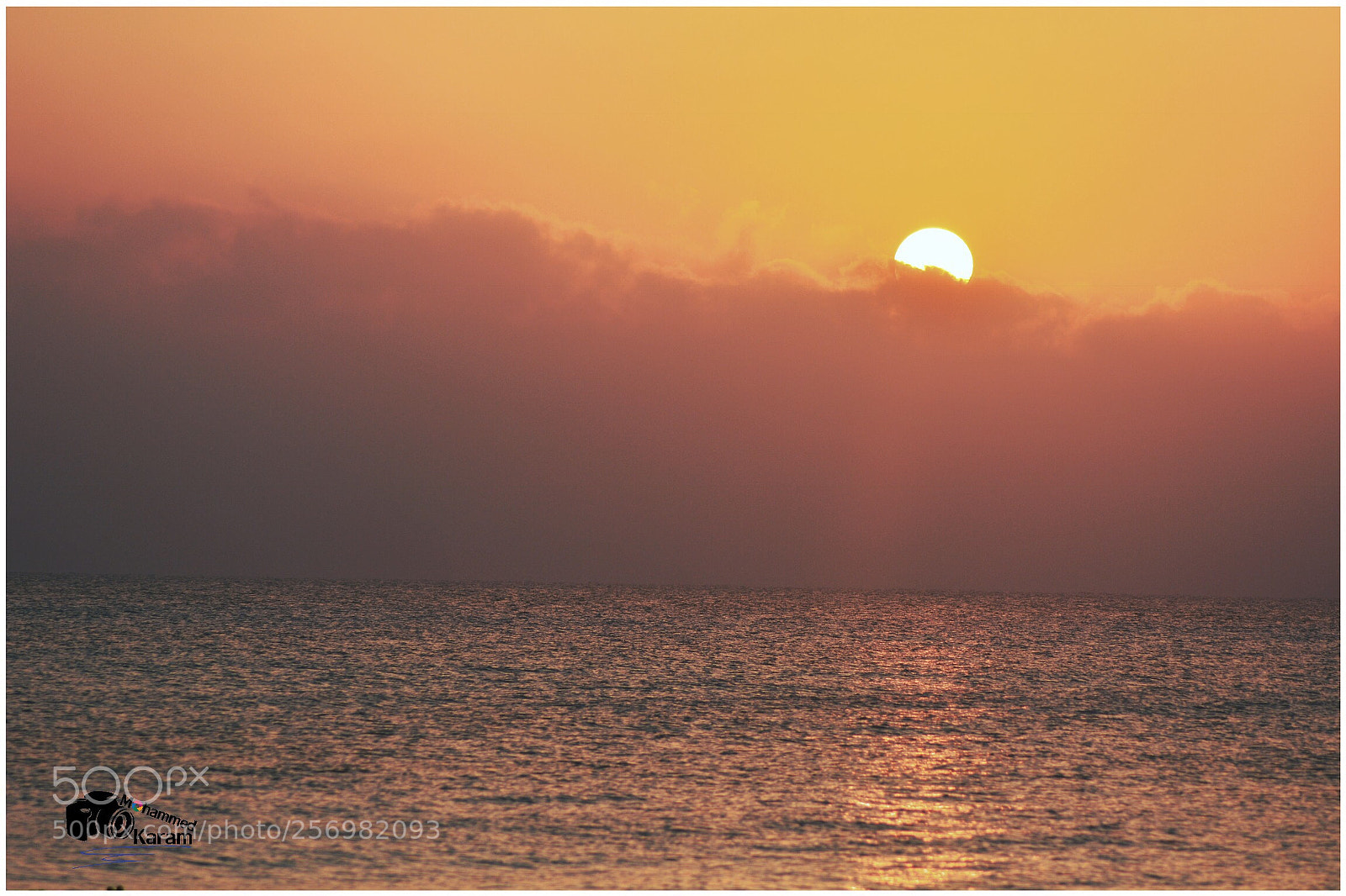 Nikon D7100 sample photo. Untitled photography