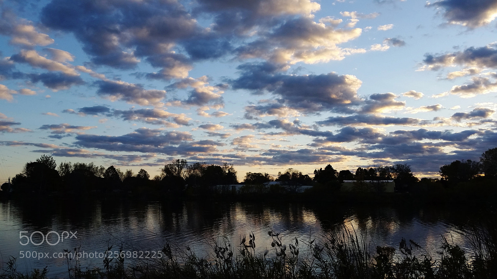 Samsung Galaxy S5 sample photo. Cloudy day photography